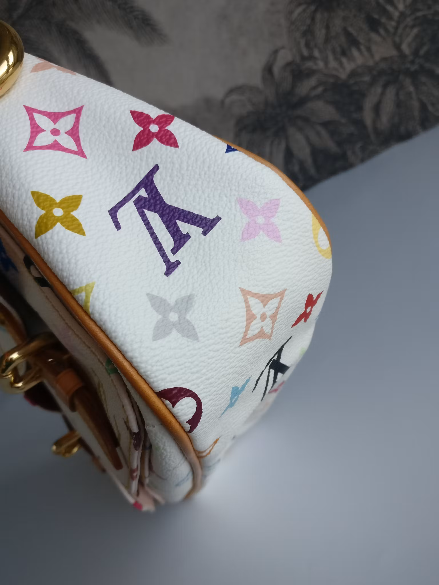 Louis Vuitton Lodge PM Multicolore