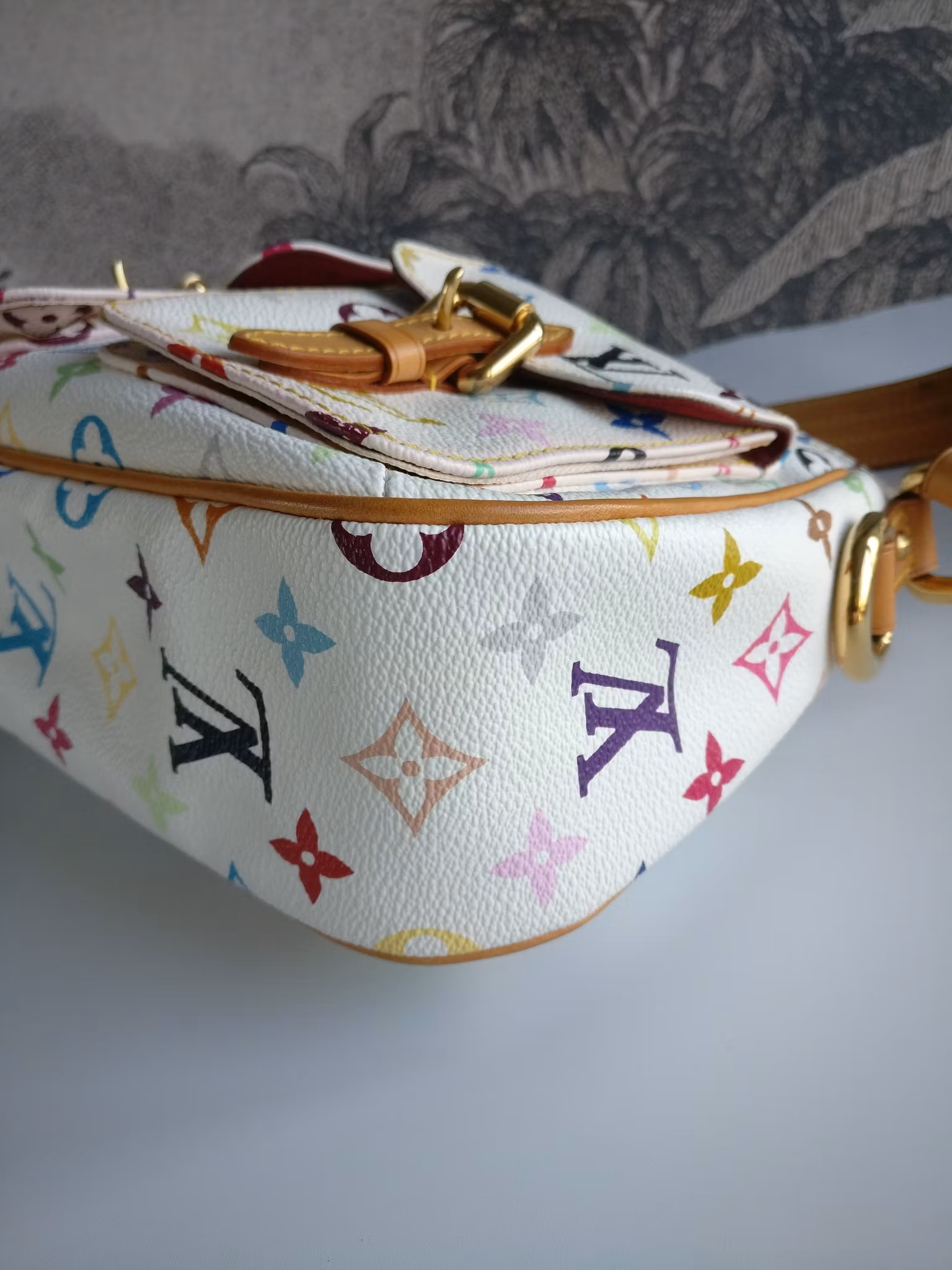 Louis Vuitton Lodge PM Multicolore