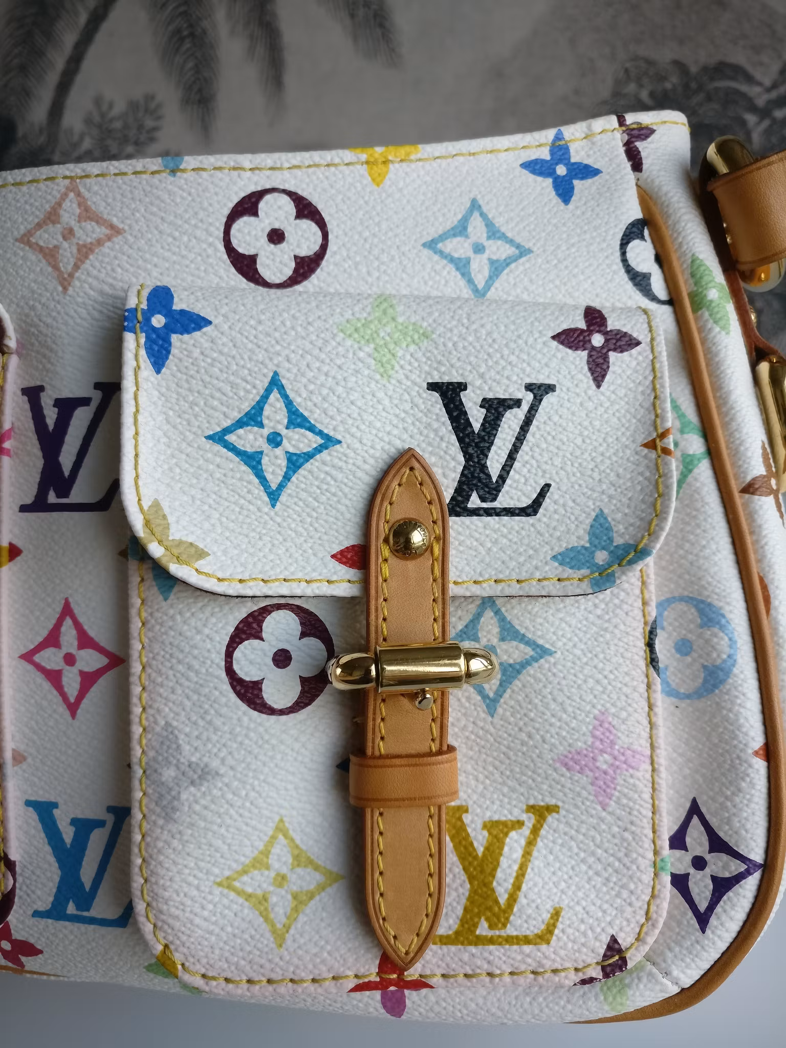 Louis Vuitton Lodge PM Multicolore