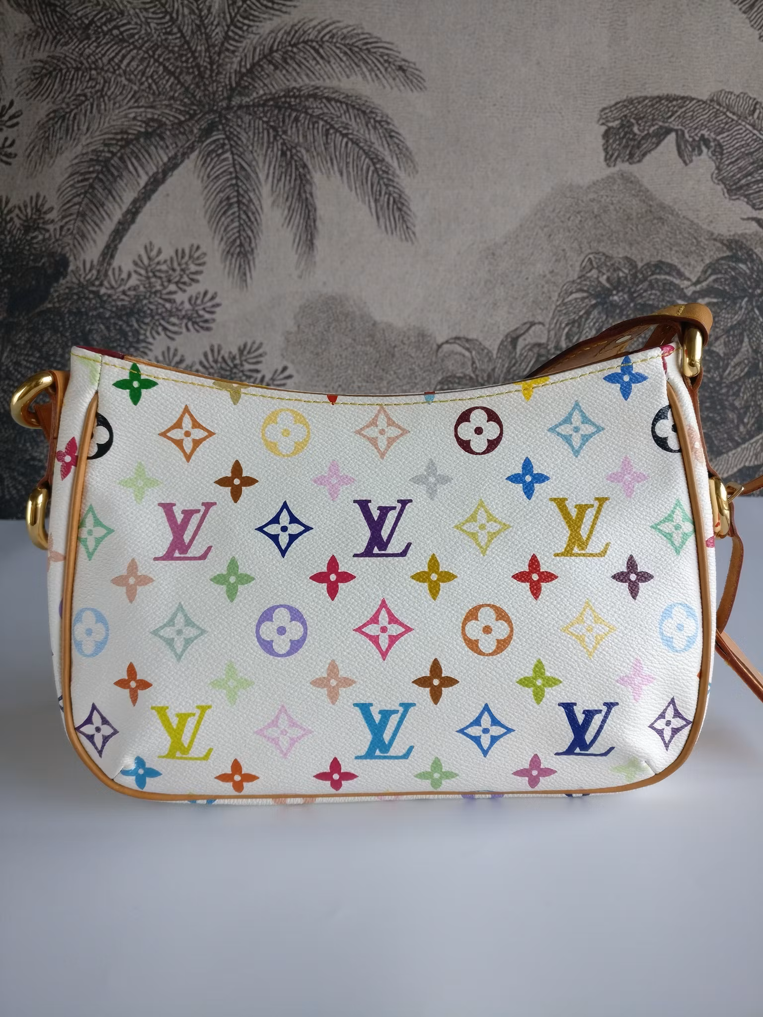 Louis Vuitton Lodge PM Multicolore