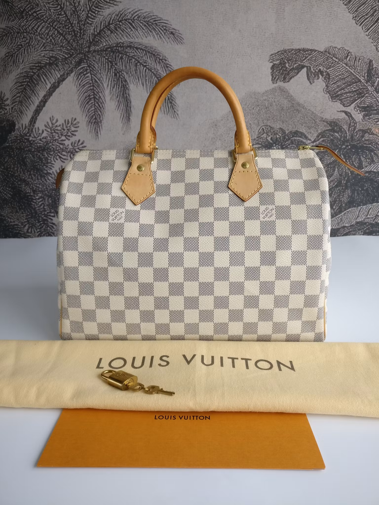 Louis Vuitton Speedy 30 damier azur