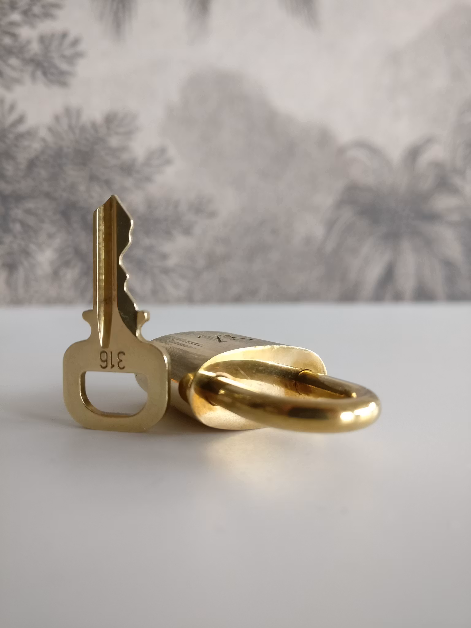 Louis Vuitton padlock 316 with key