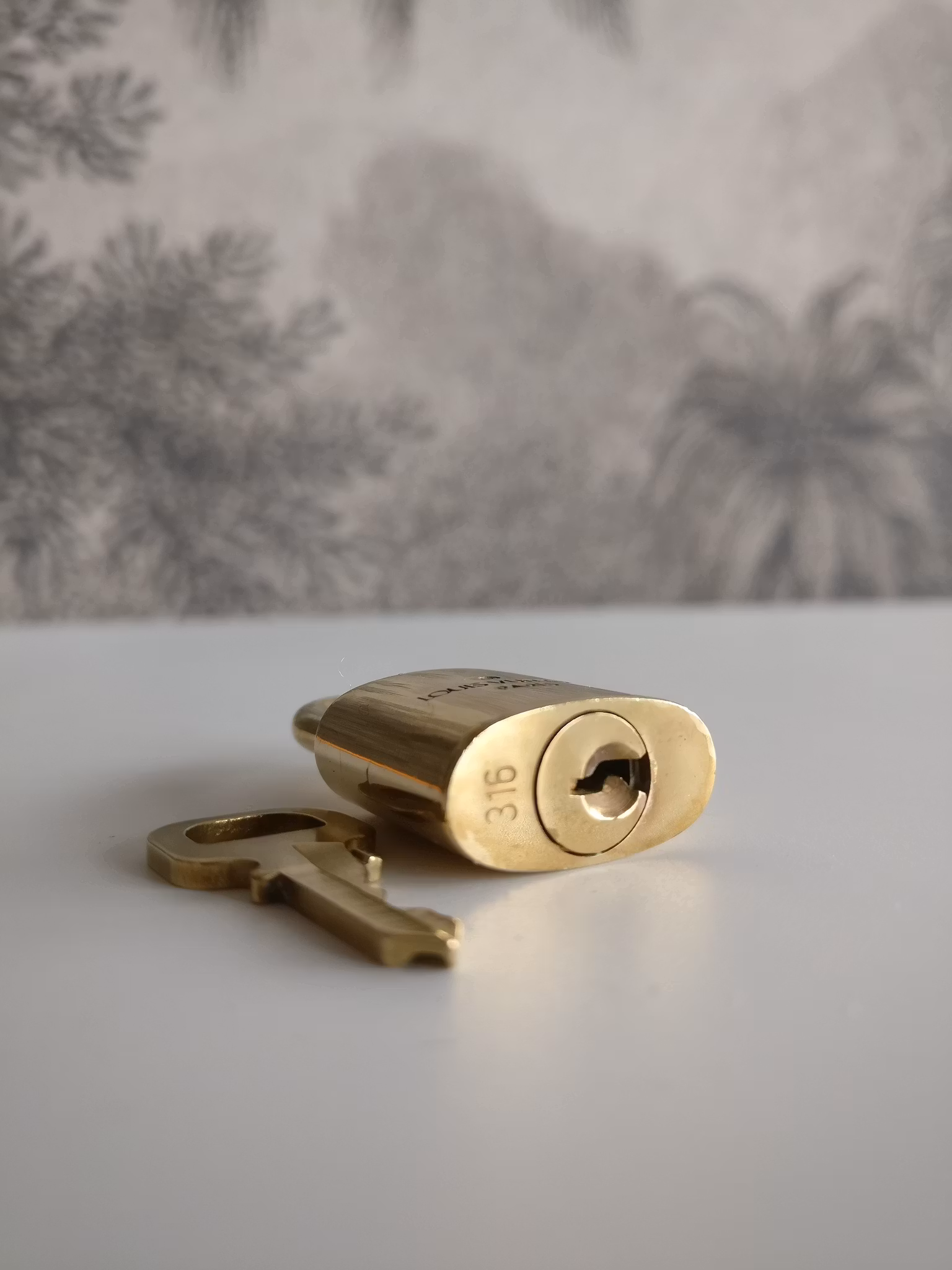 Louis Vuitton padlock 316 with key
