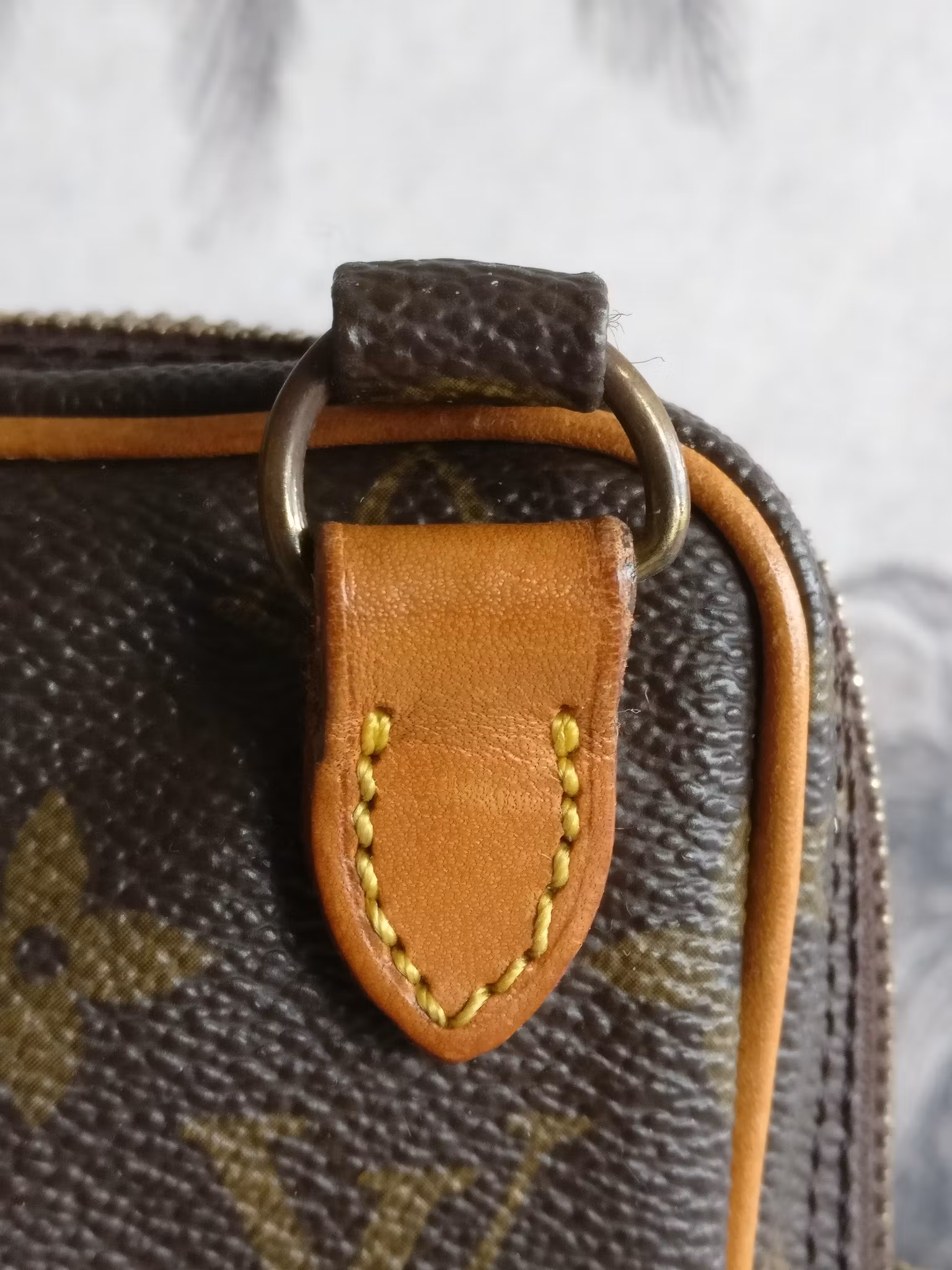 Louis Vuitton Mini Amazon
