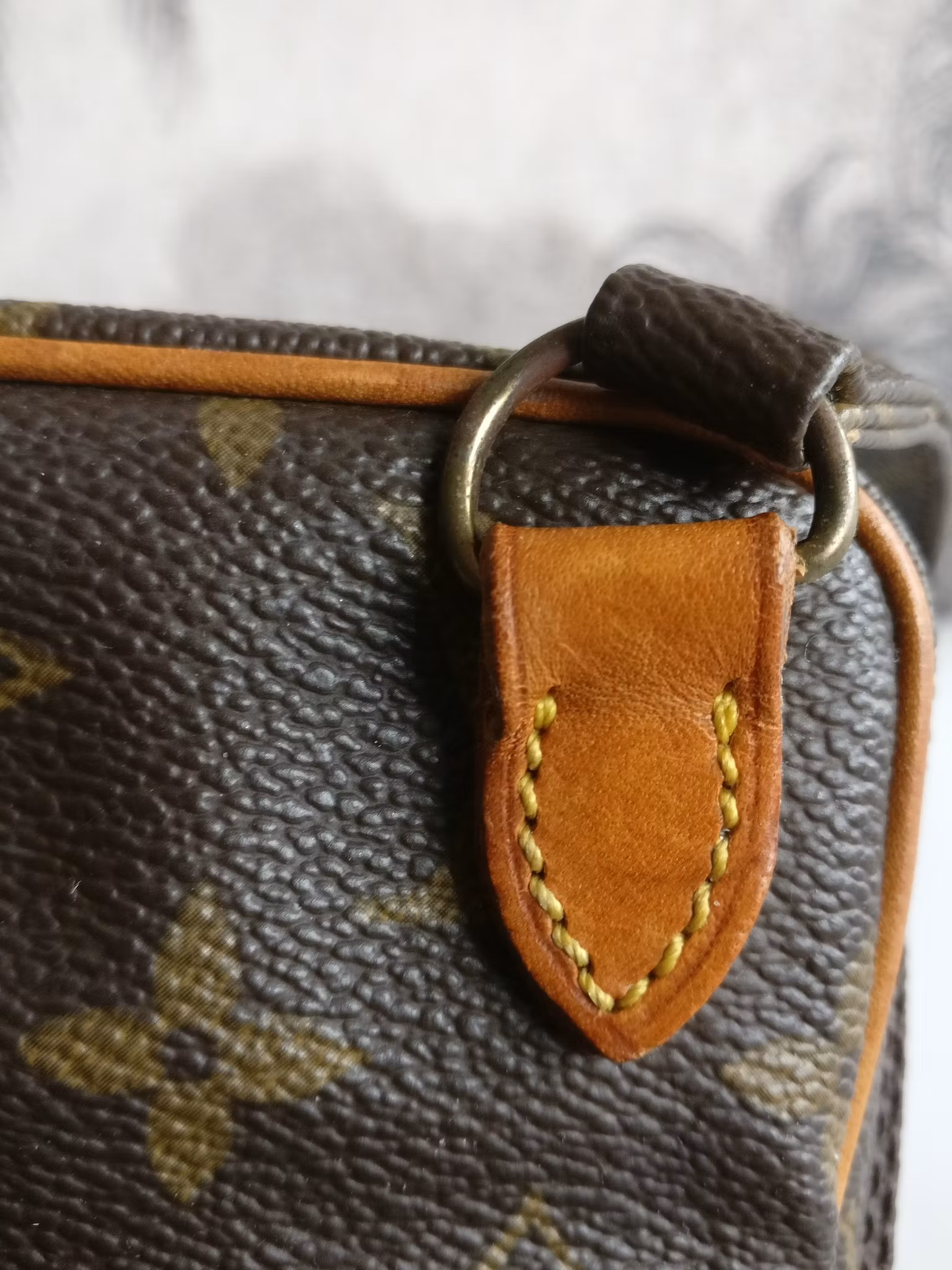Louis Vuitton Mini Amazon