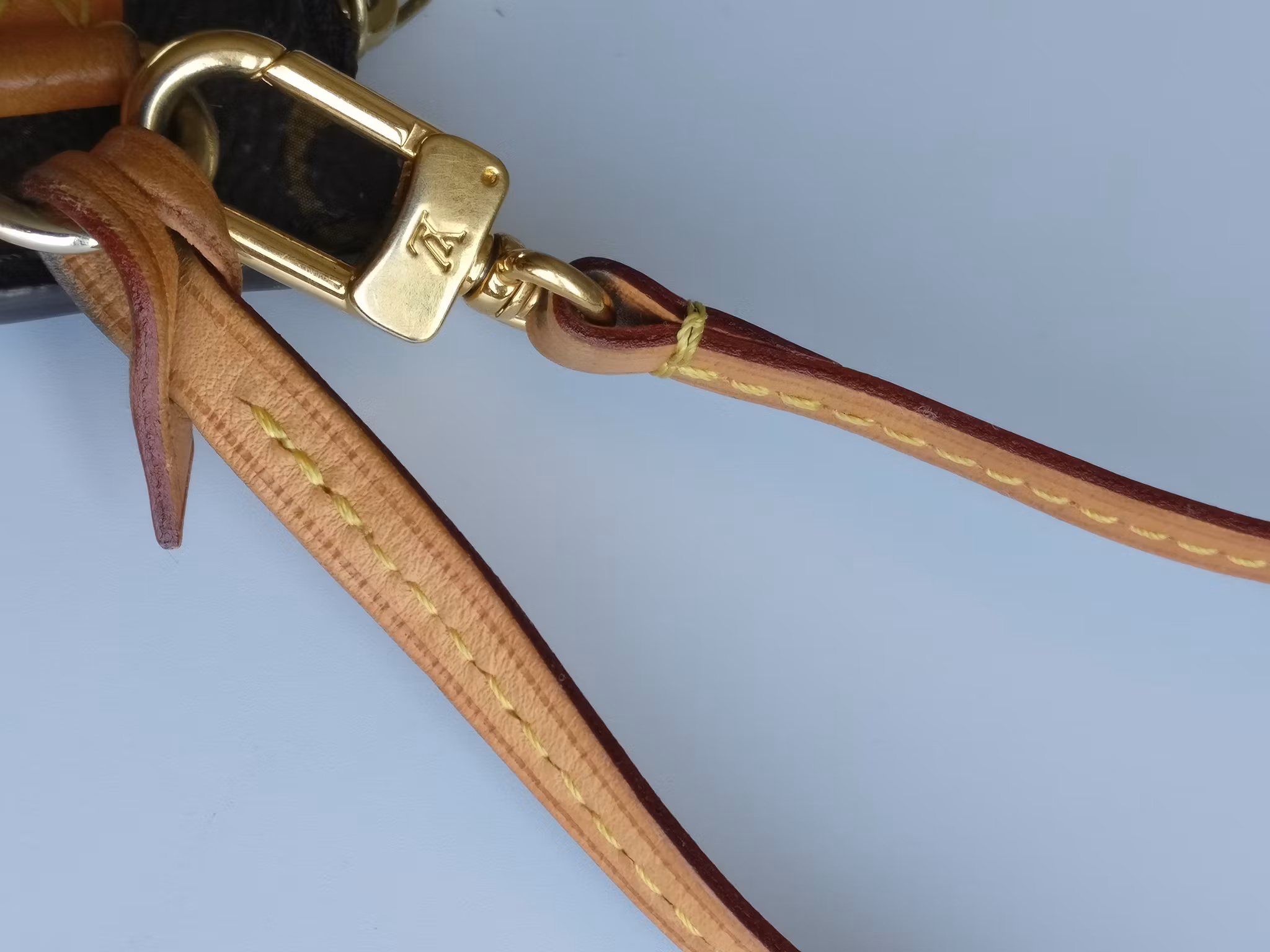 Louis Vuitton Neverfull MM/GM pochette