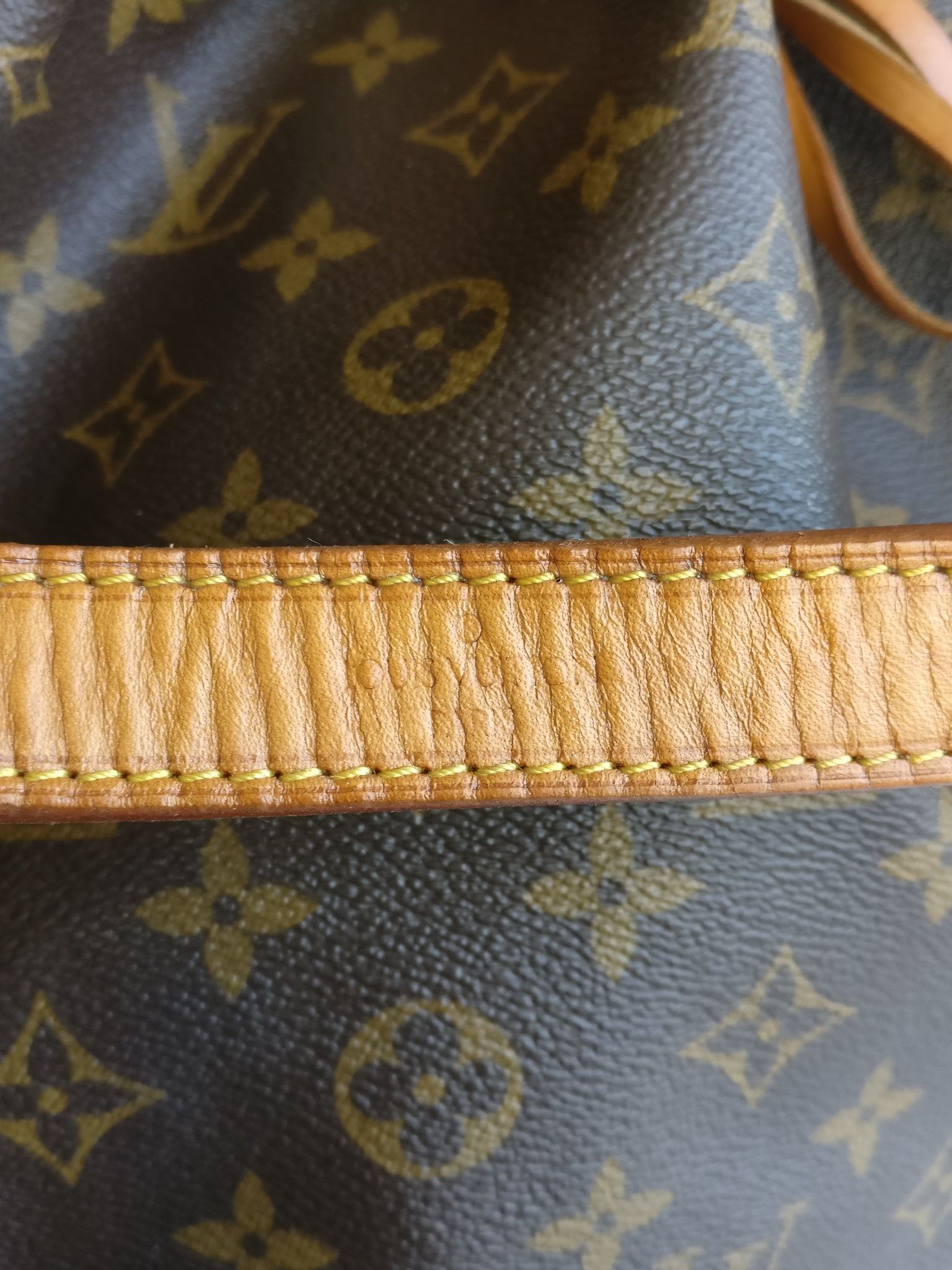 Louis Vuitton Noé GM