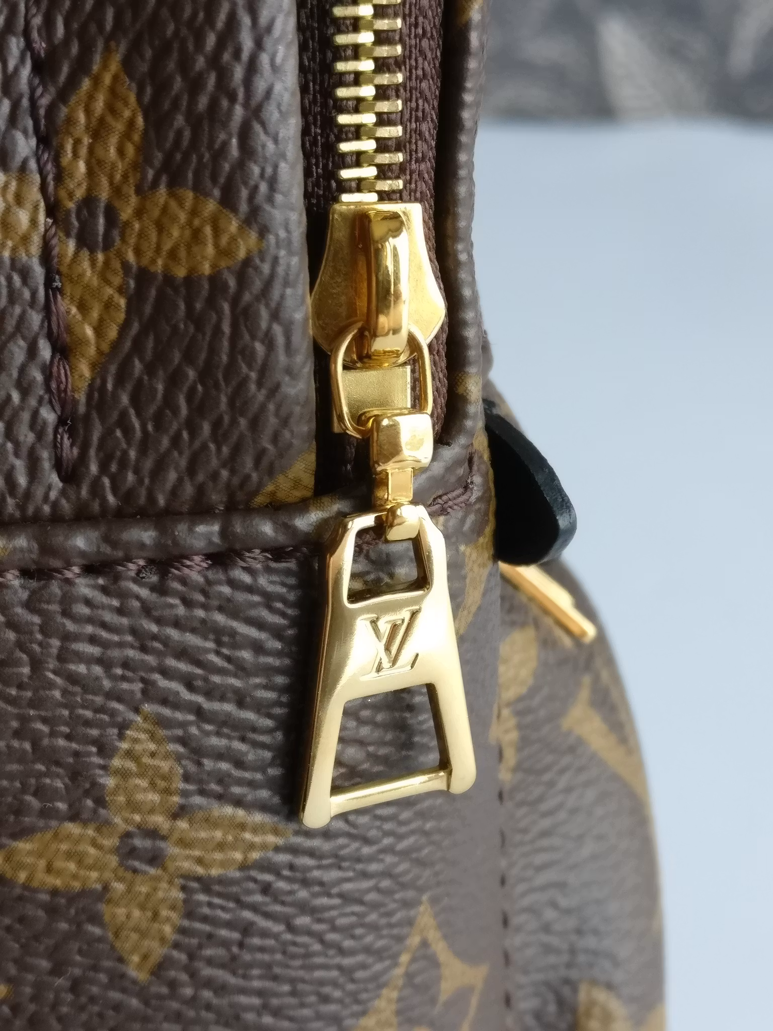 Louis Vuitton Palm Springs Mini