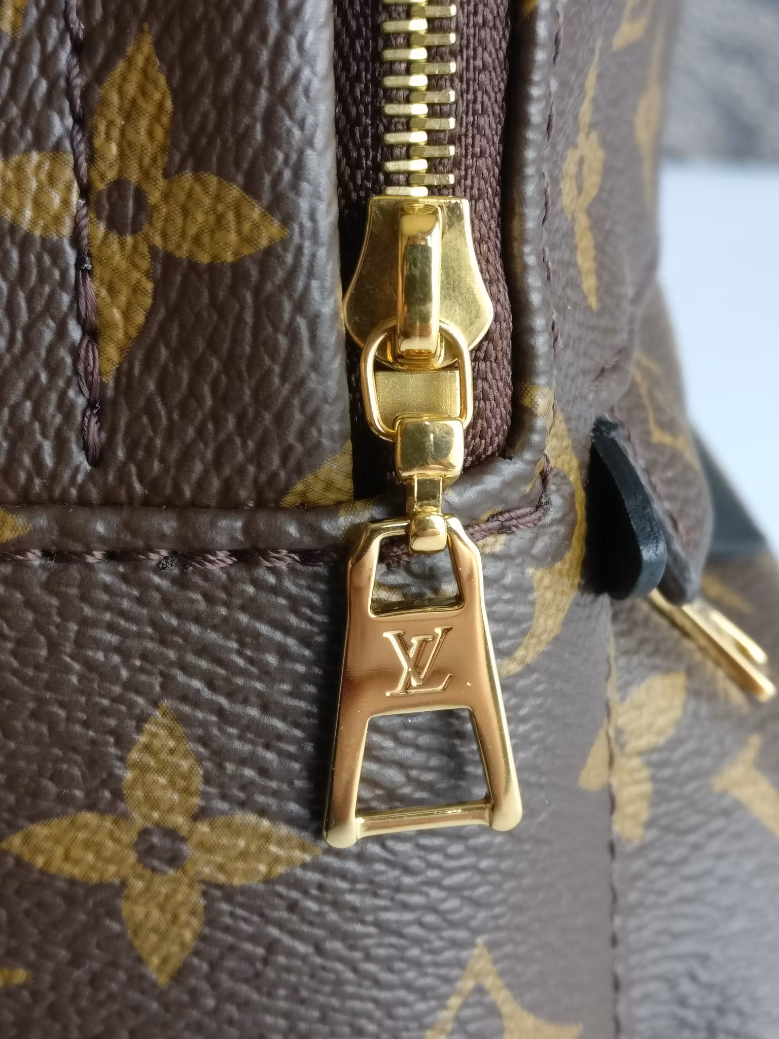 Louis Vuitton Palm Springs Mini