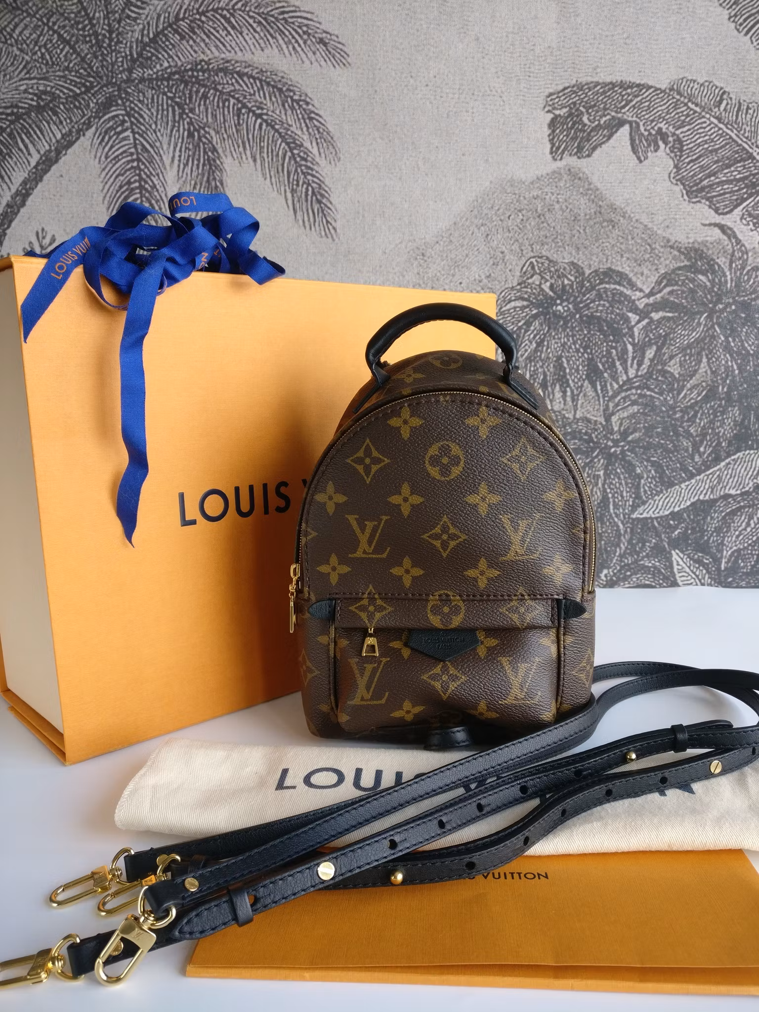 Louis Vuitton Palm Springs Mini