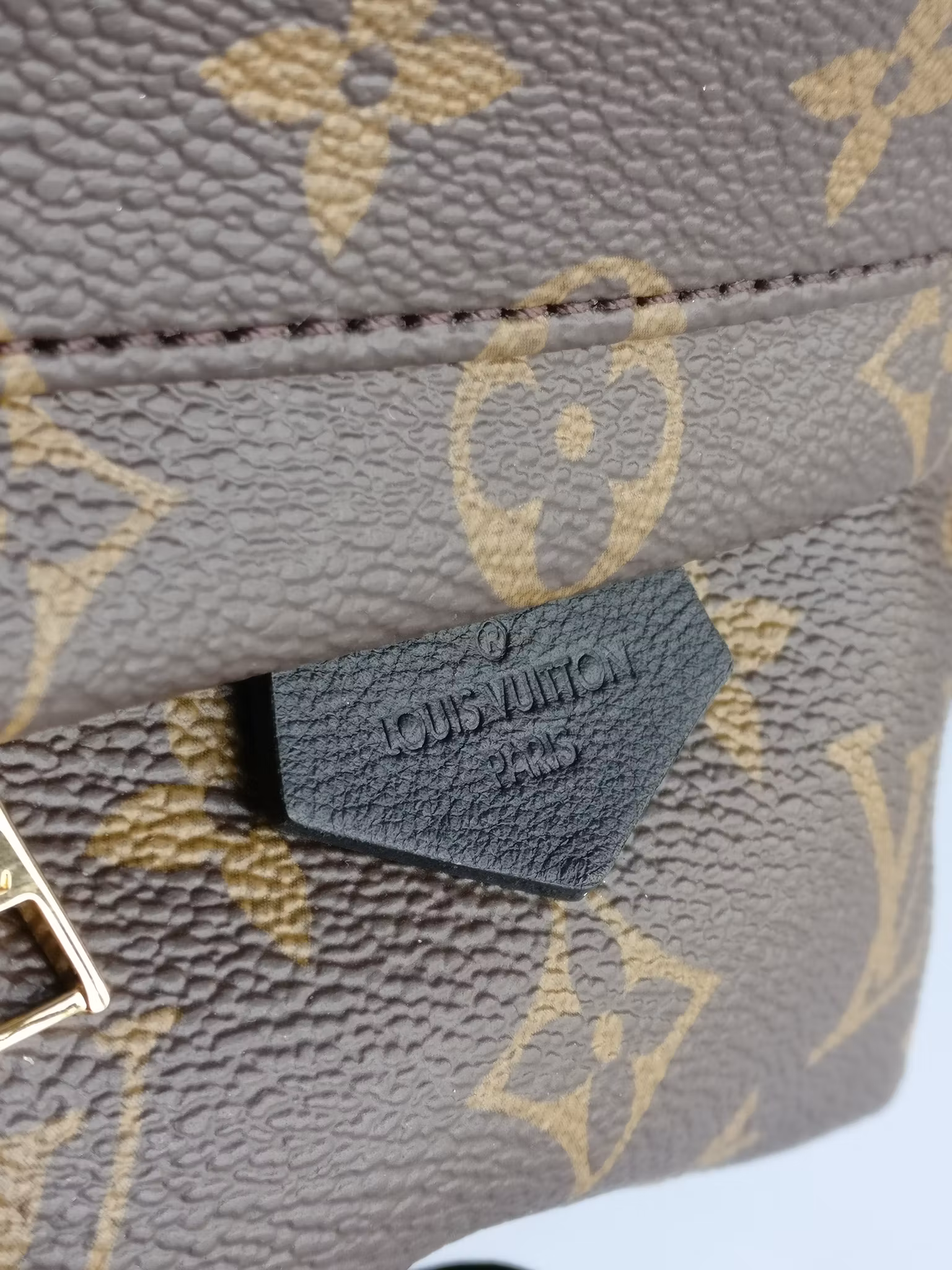 Louis Vuitton Palm Springs Mini