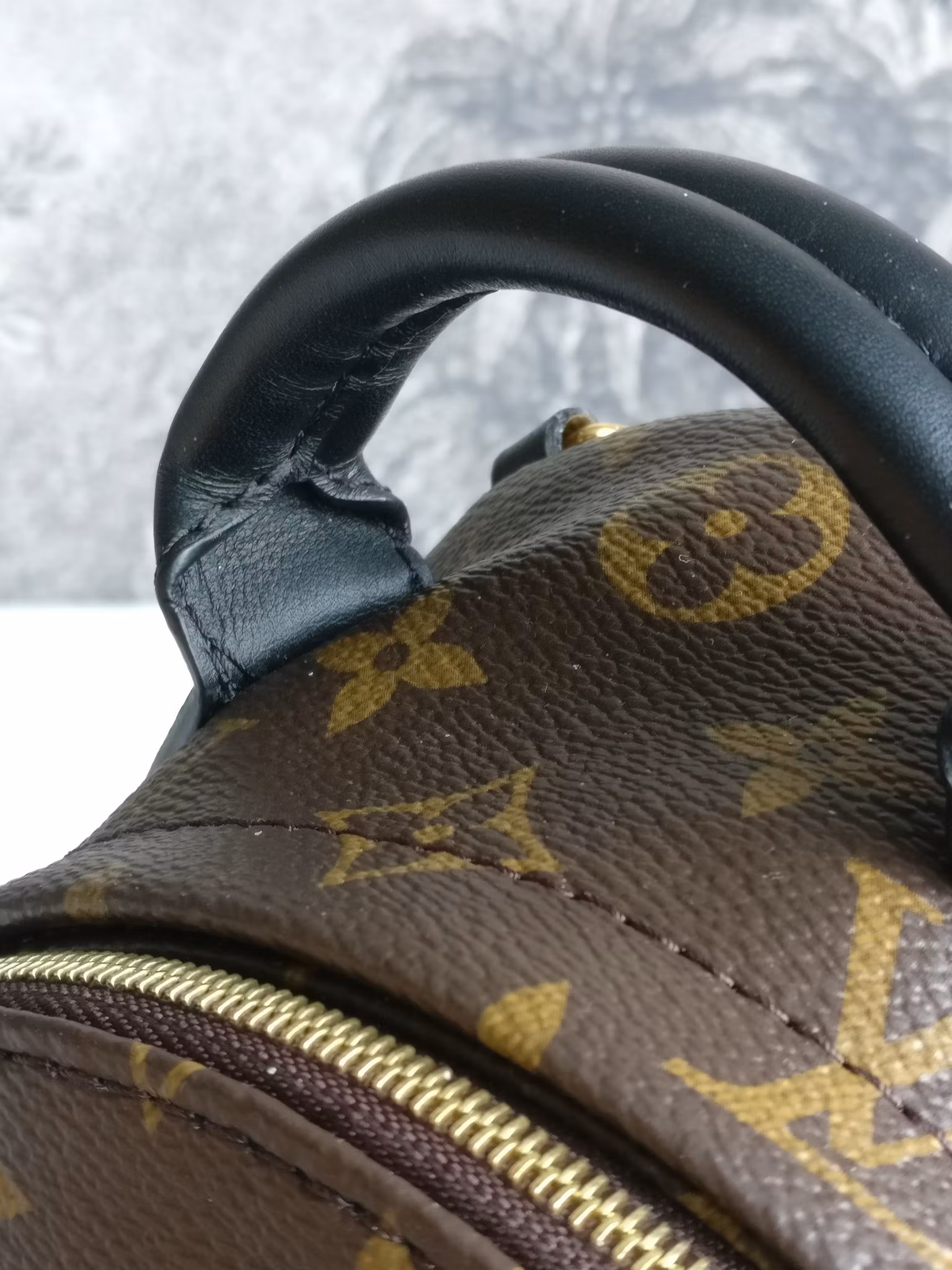 Louis Vuitton Palm Springs Mini