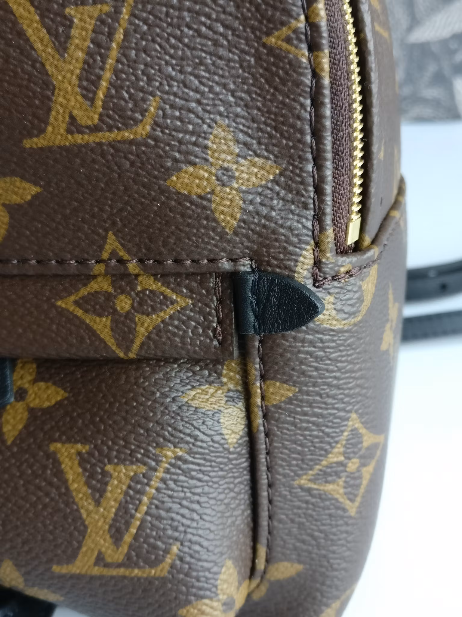 Louis Vuitton Palm Springs Mini