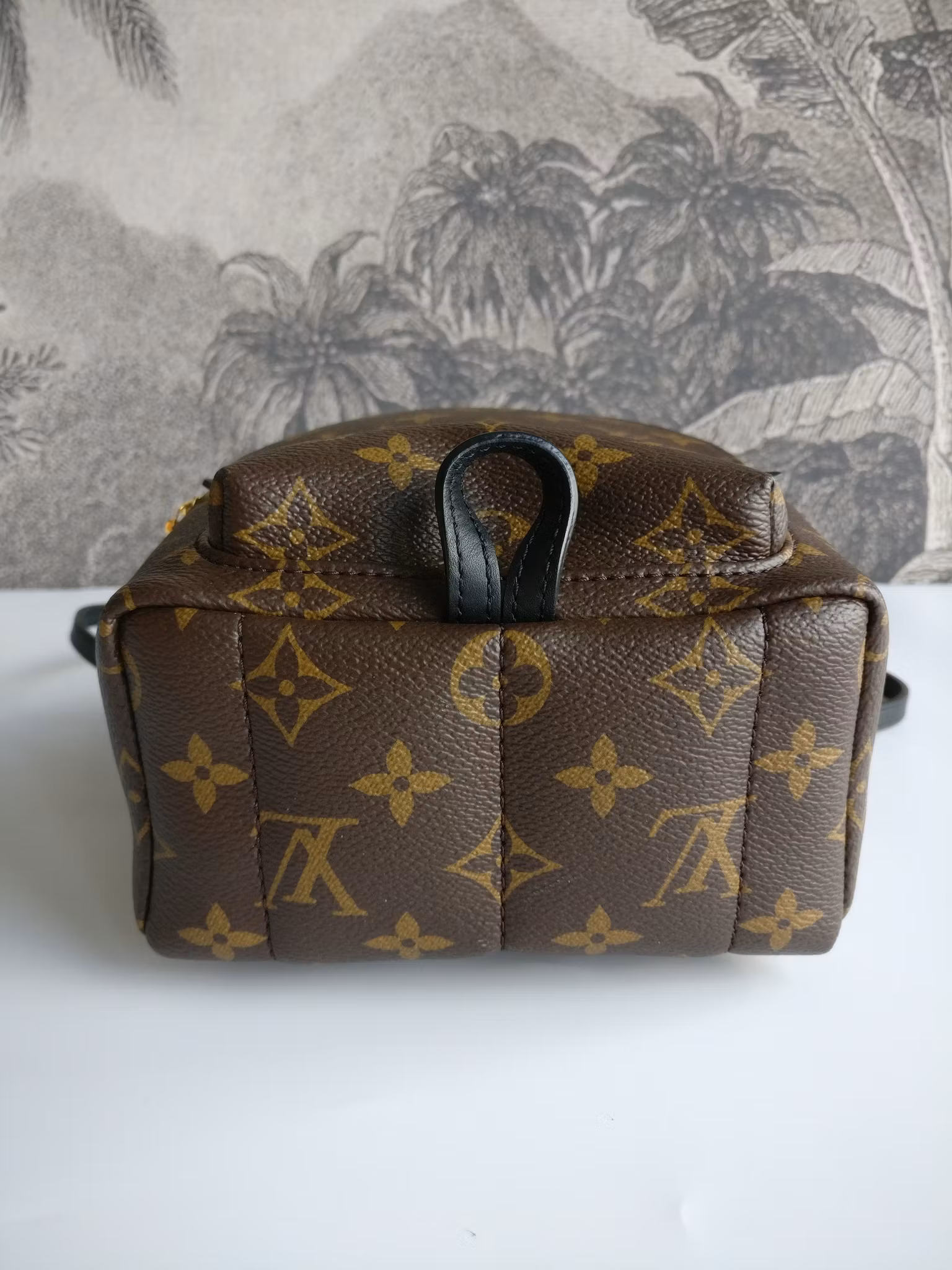 Louis Vuitton Palm Springs Mini