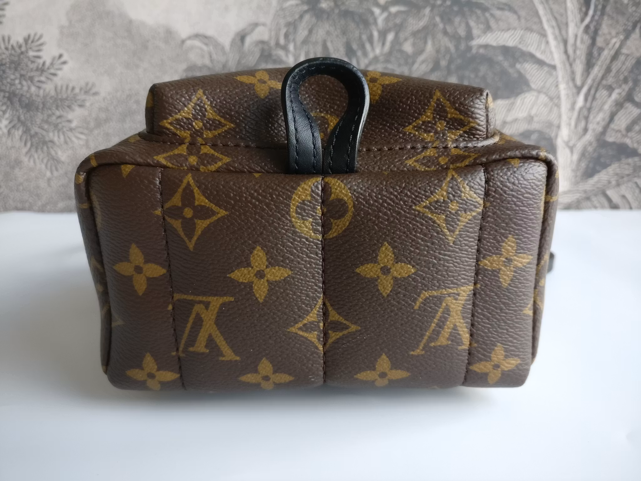 Louis Vuitton Palm Springs Mini