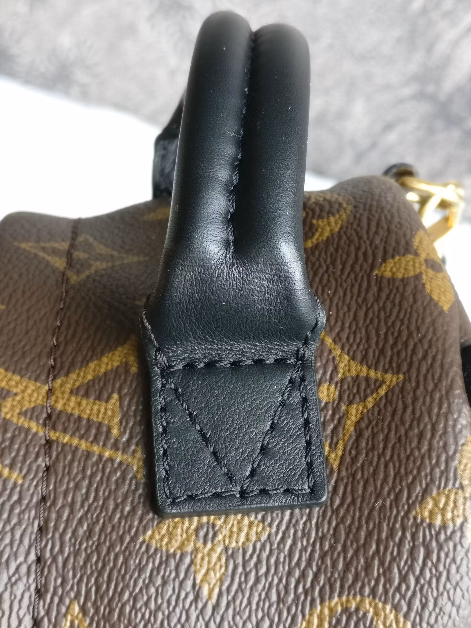 Louis Vuitton Palm Springs Mini