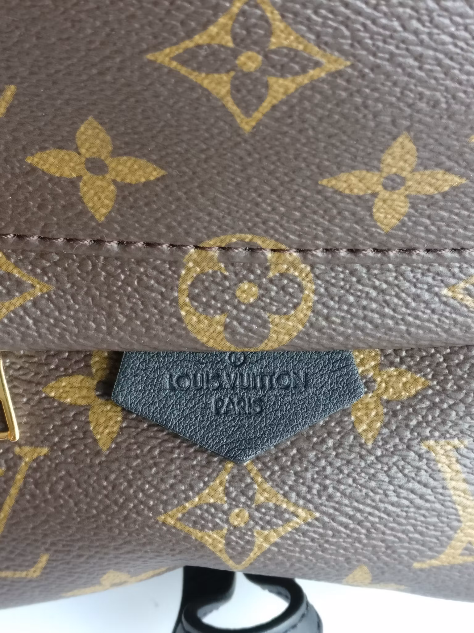 Louis Vuitton Palm Springs Mini