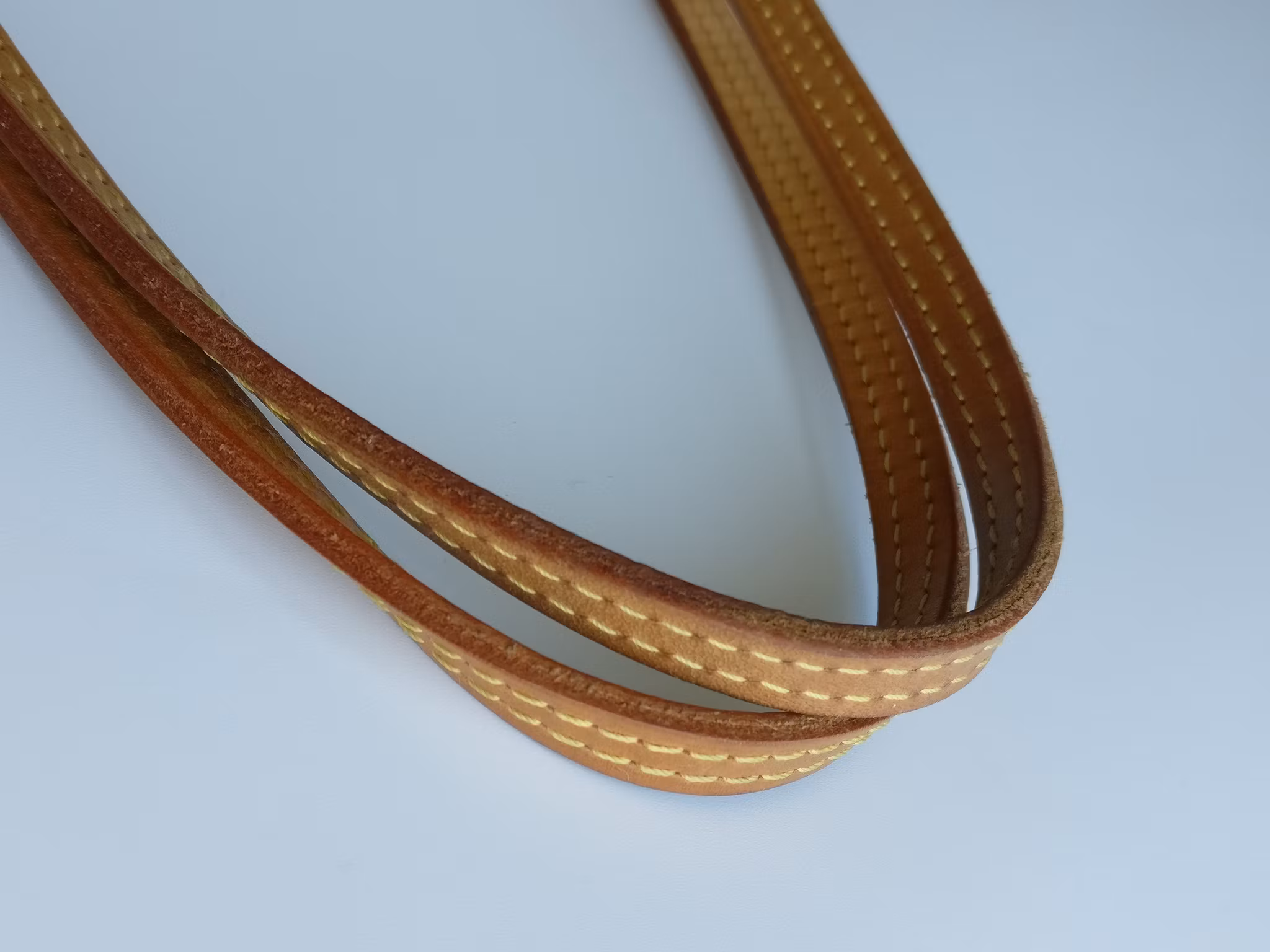 Louis Vuitton Neverfull PM