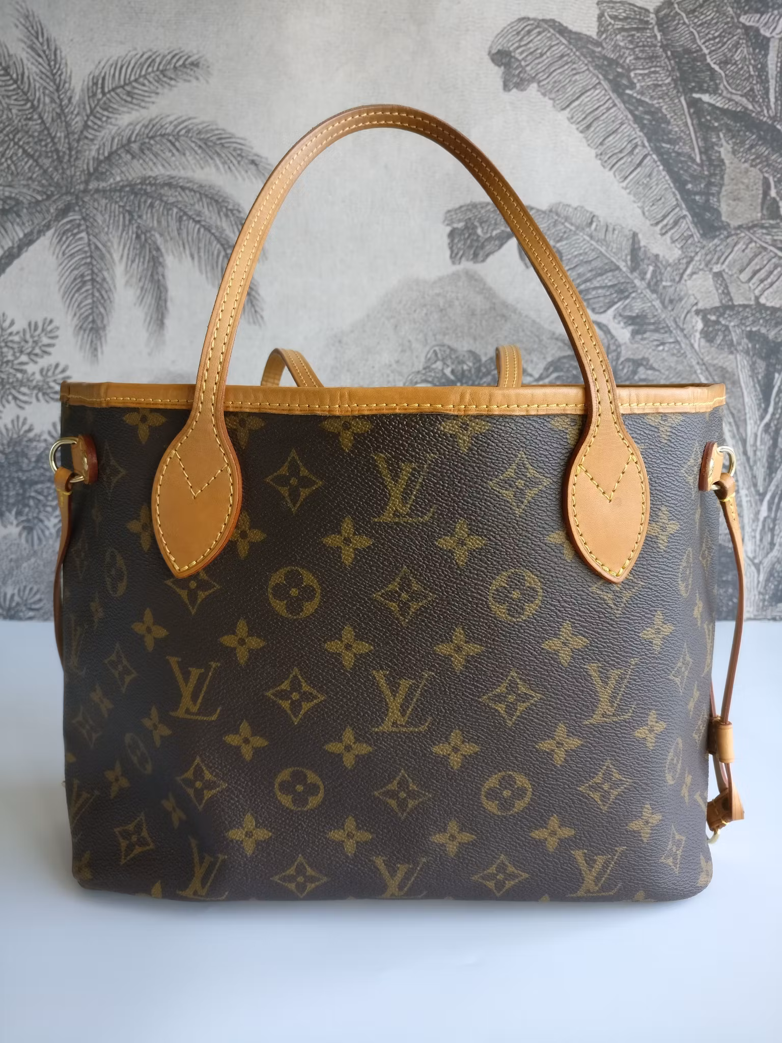 Louis Vuitton Neverfull PM