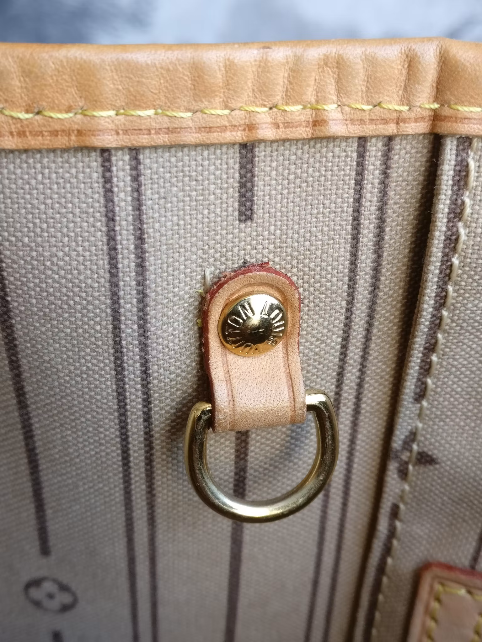 Louis Vuitton Neverfull PM