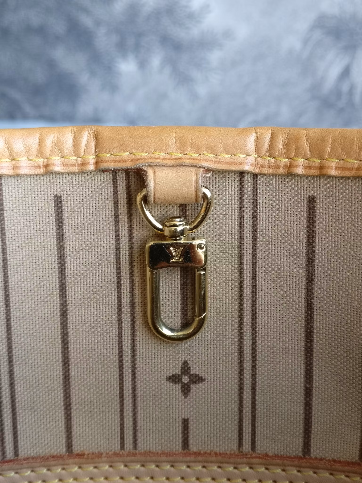 Louis Vuitton Neverfull PM