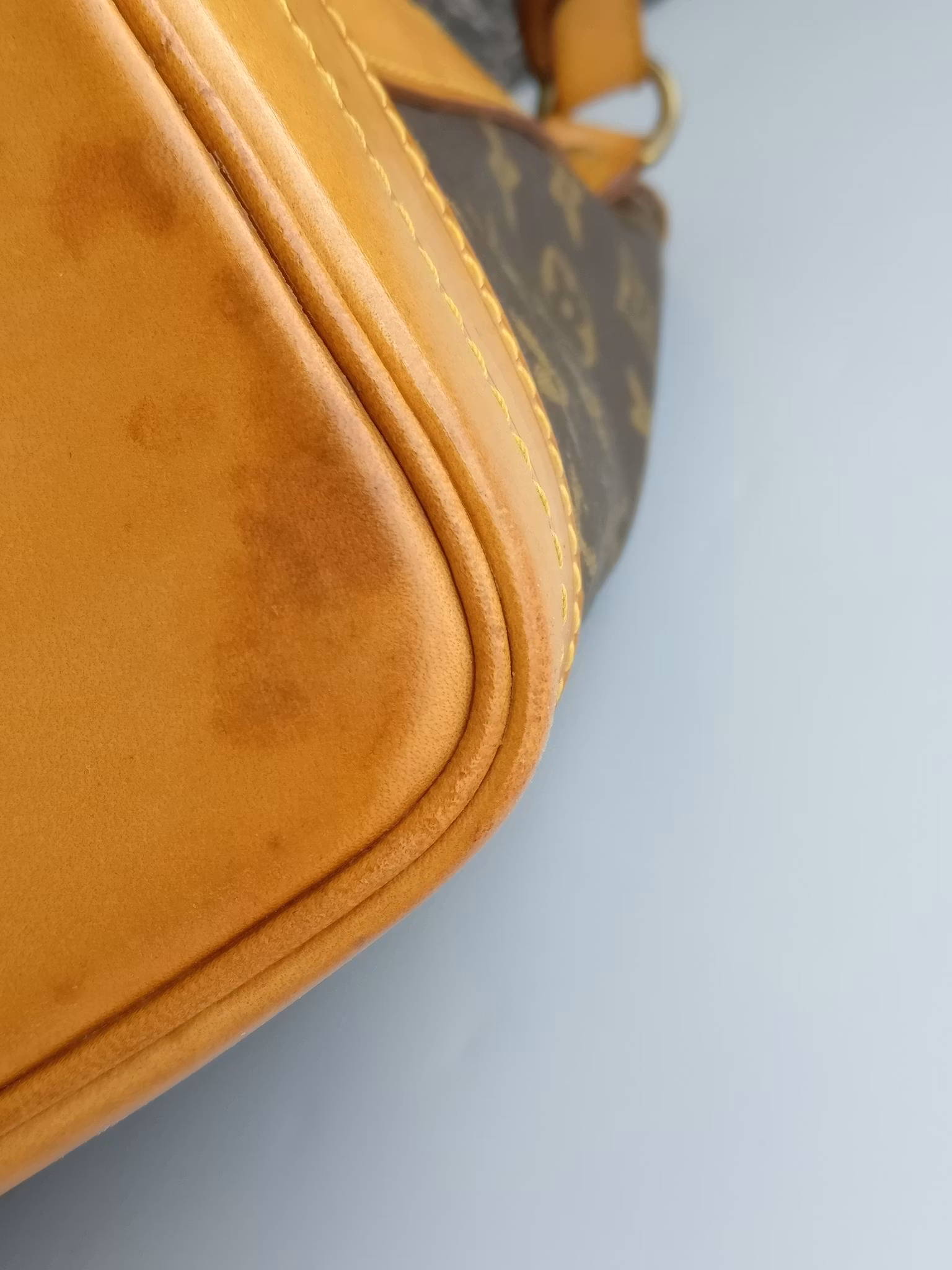 Louis Vuitton Noé GM