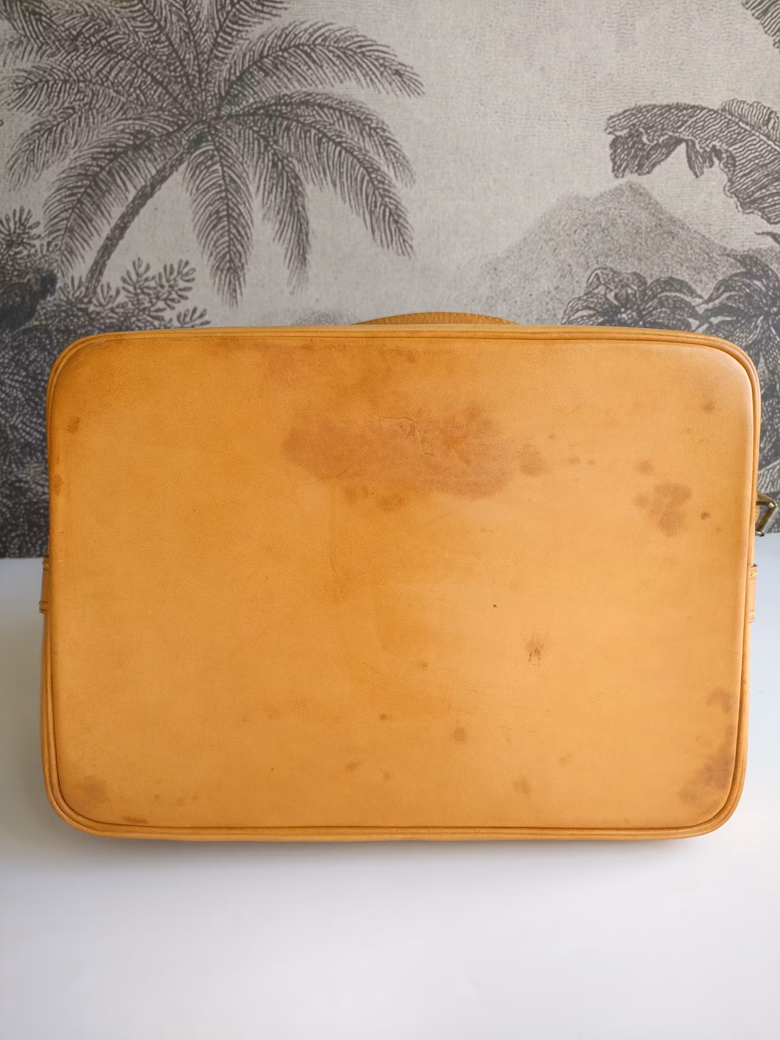 Louis Vuitton Noé GM
