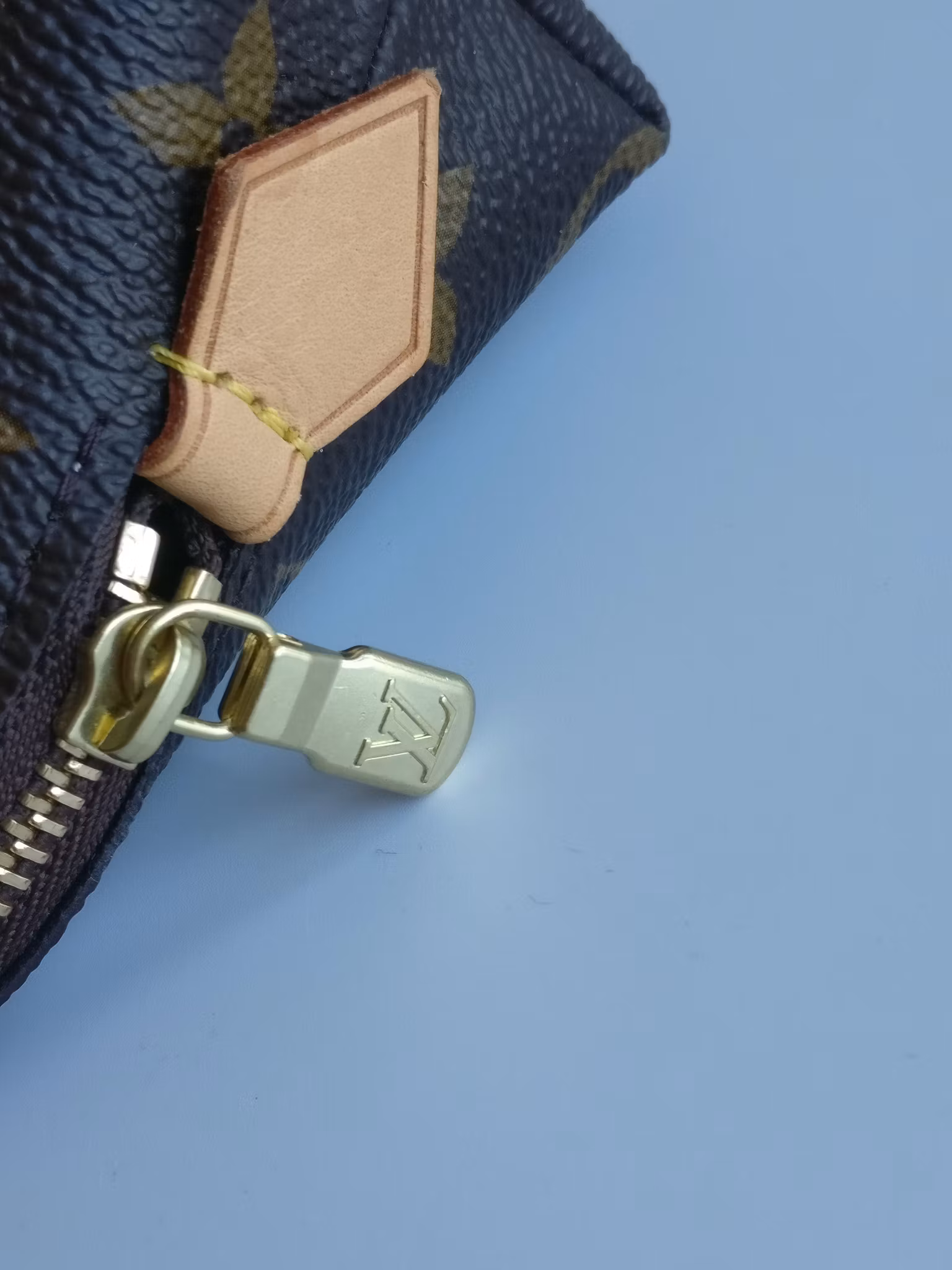 Louis Vuitton Cosmetic Pouch