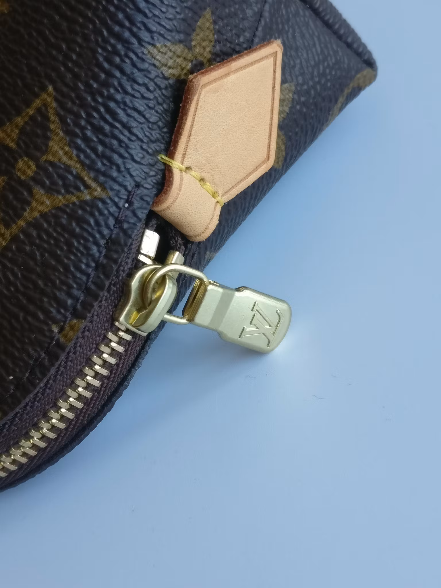 Louis Vuitton Cosmetic Pouch