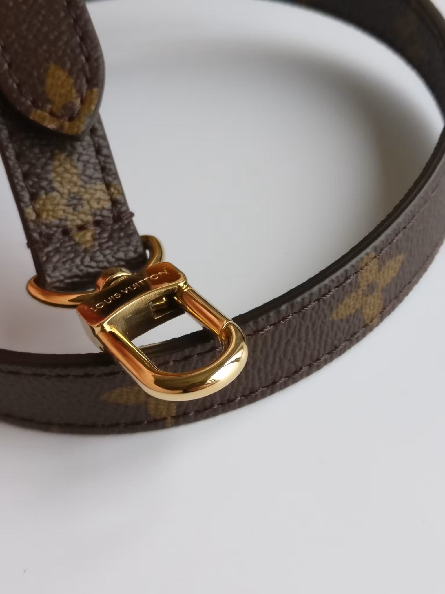 Louis Vuitton Pochette Metis
