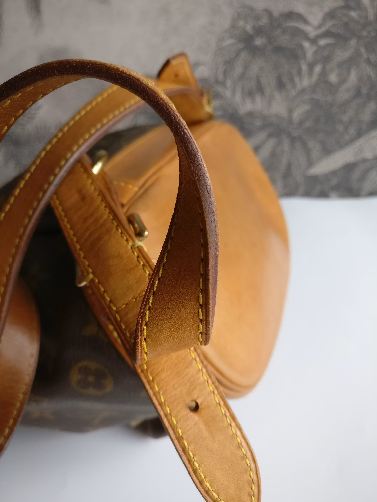 Louis Vuitton Montsouris MM