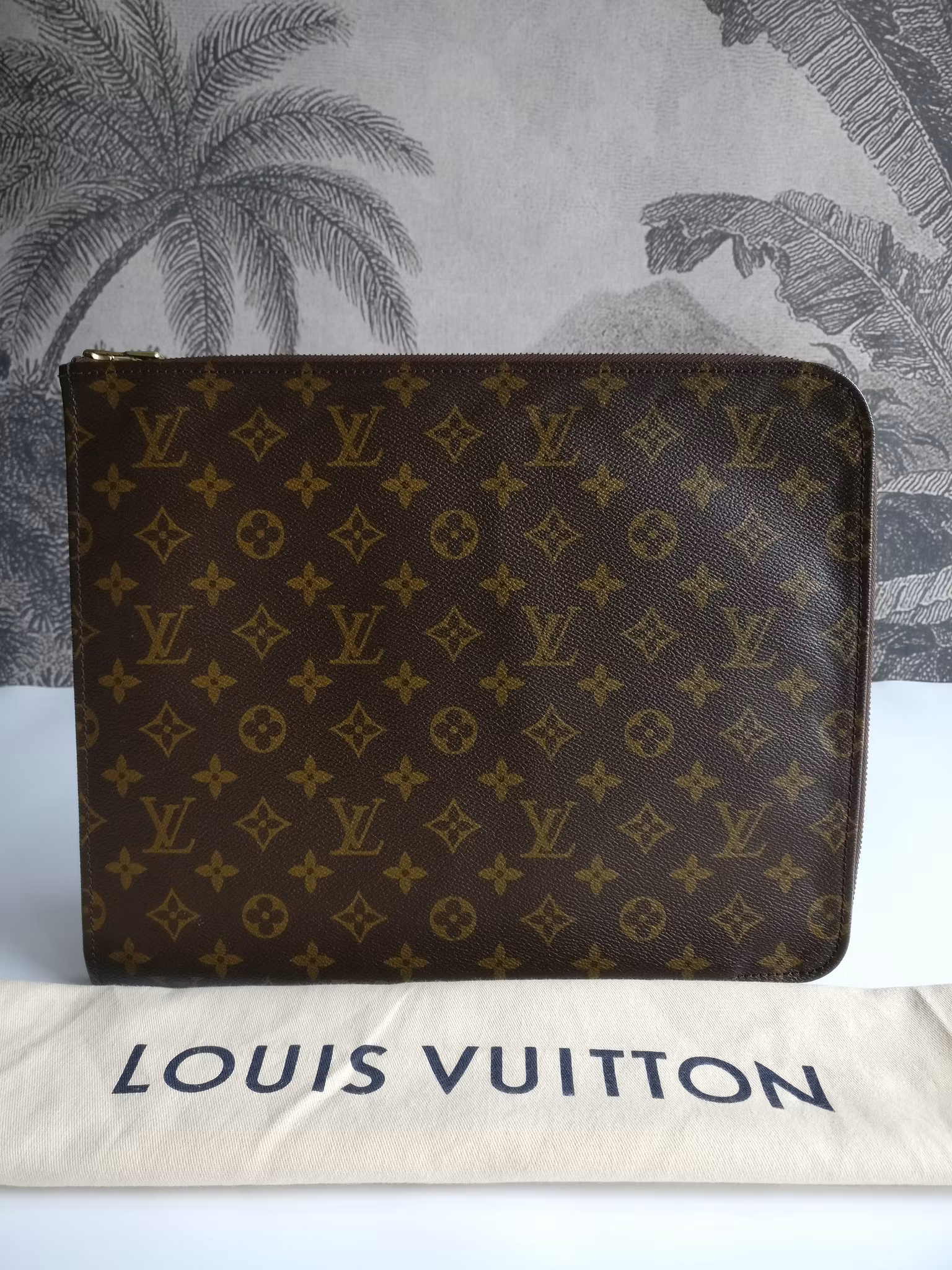 Louis Vuitton Poche Documents