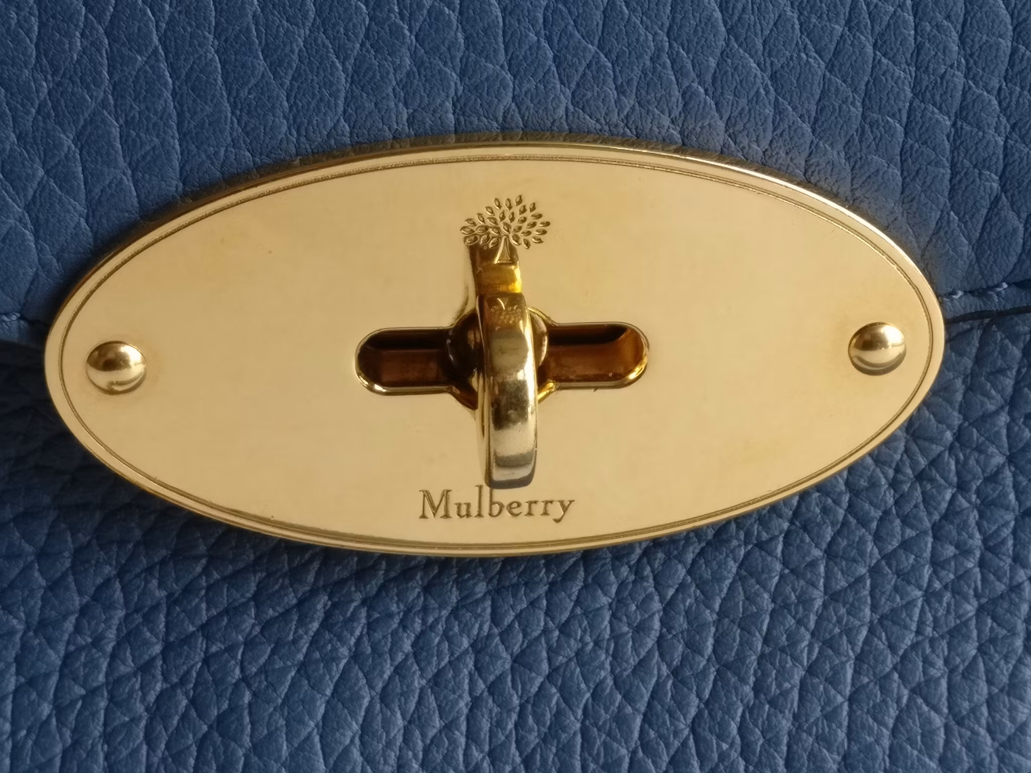 Mulberry Darley Large