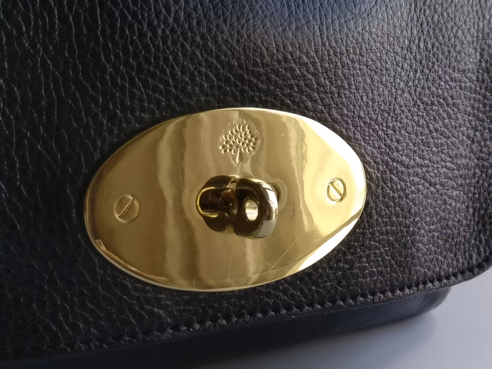 Mulberry Lily Small