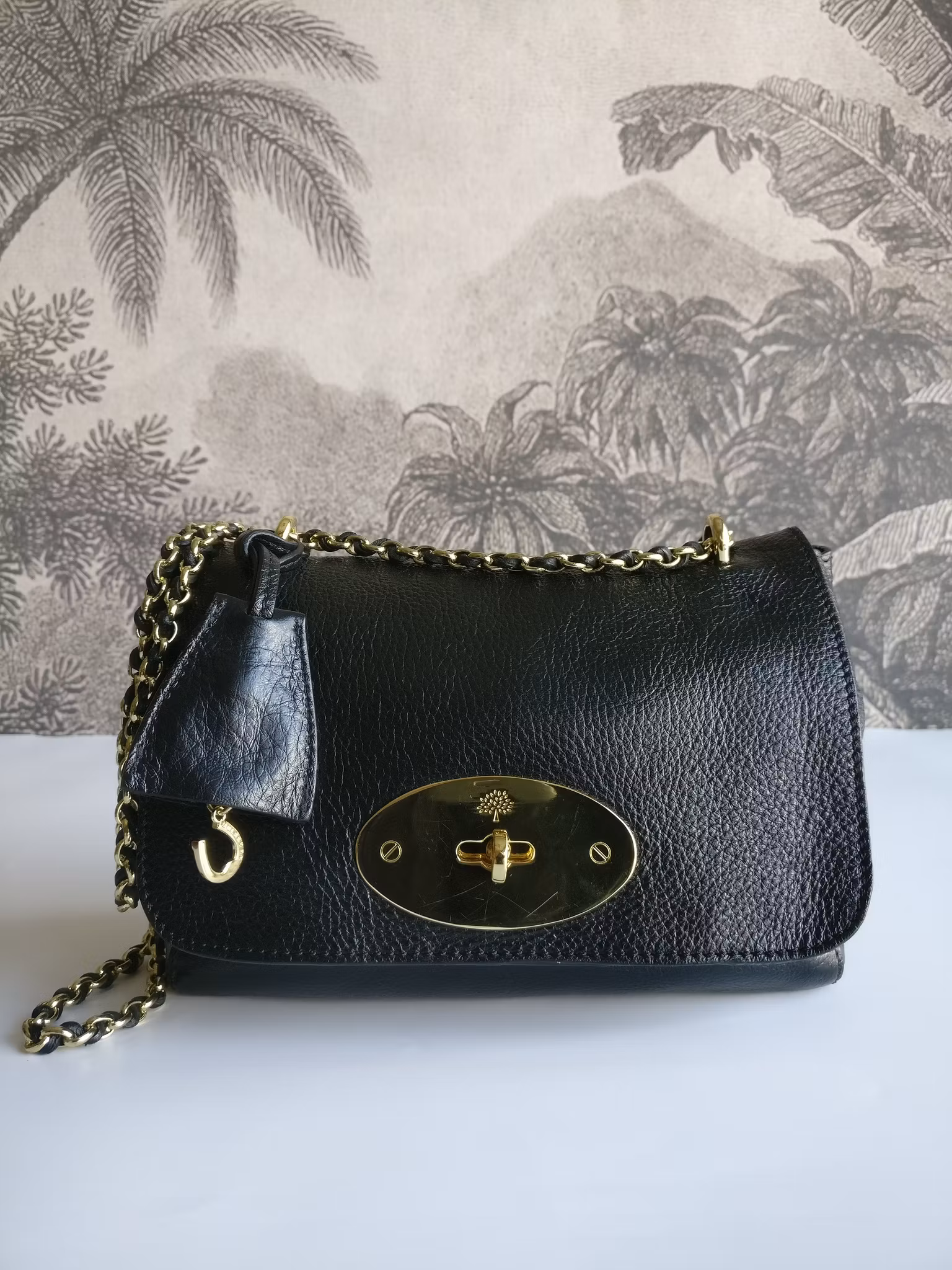 Mulberry Lily Small