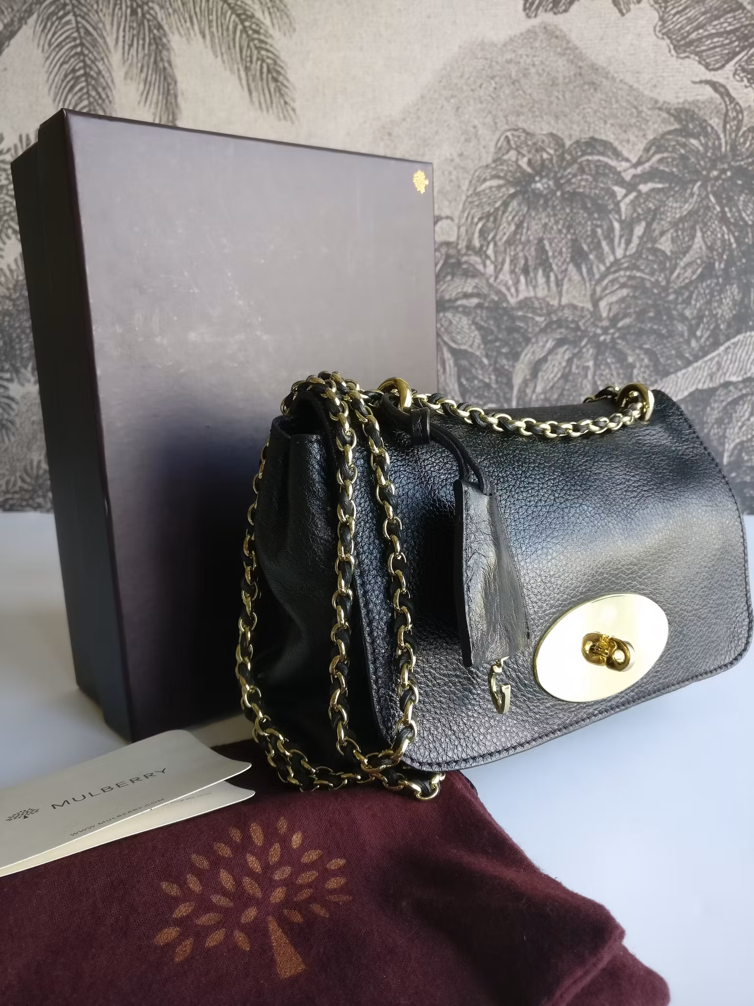 Mulberry Lily Small