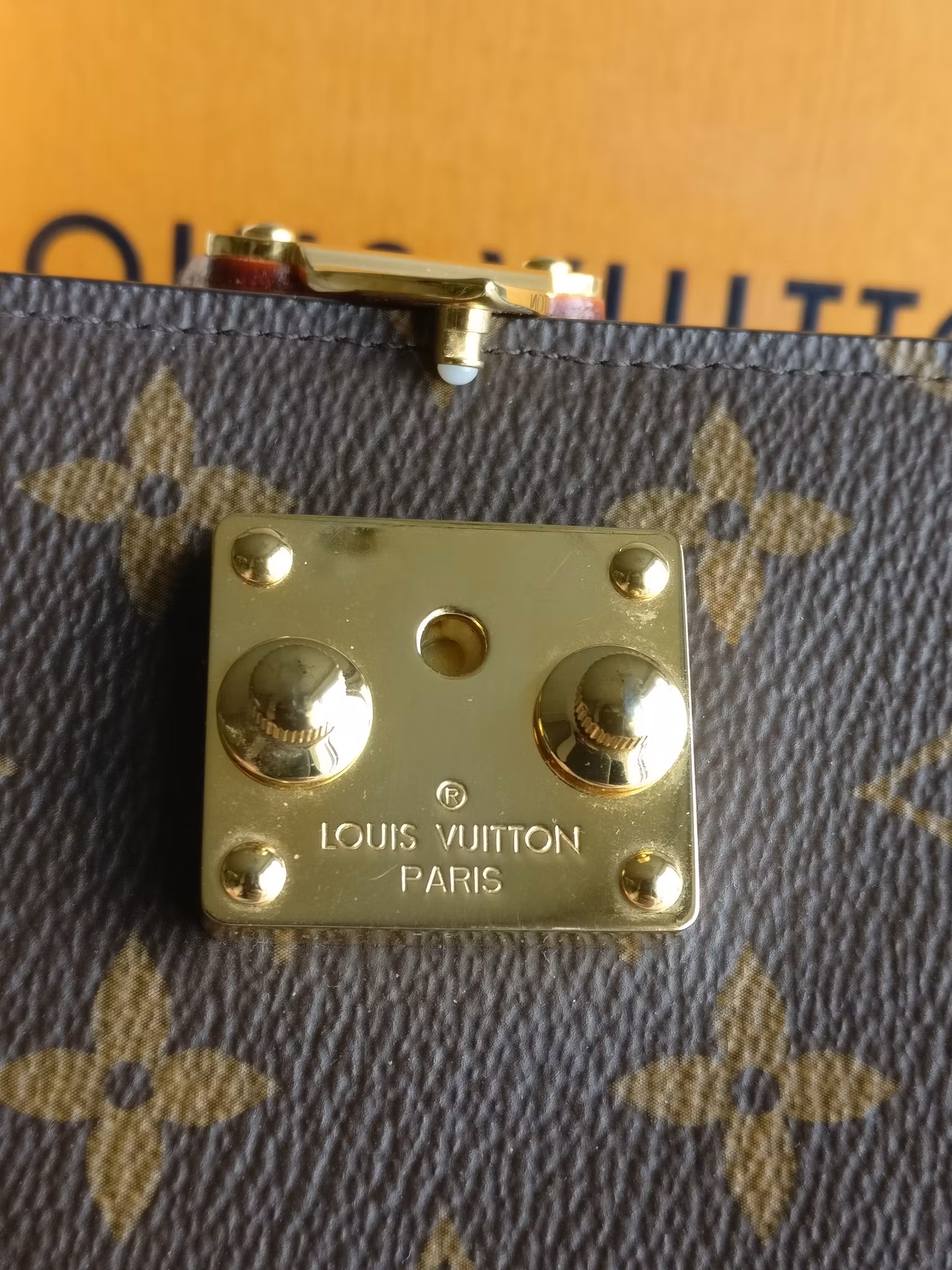Louis Vuitton Paul MM Notebook cover