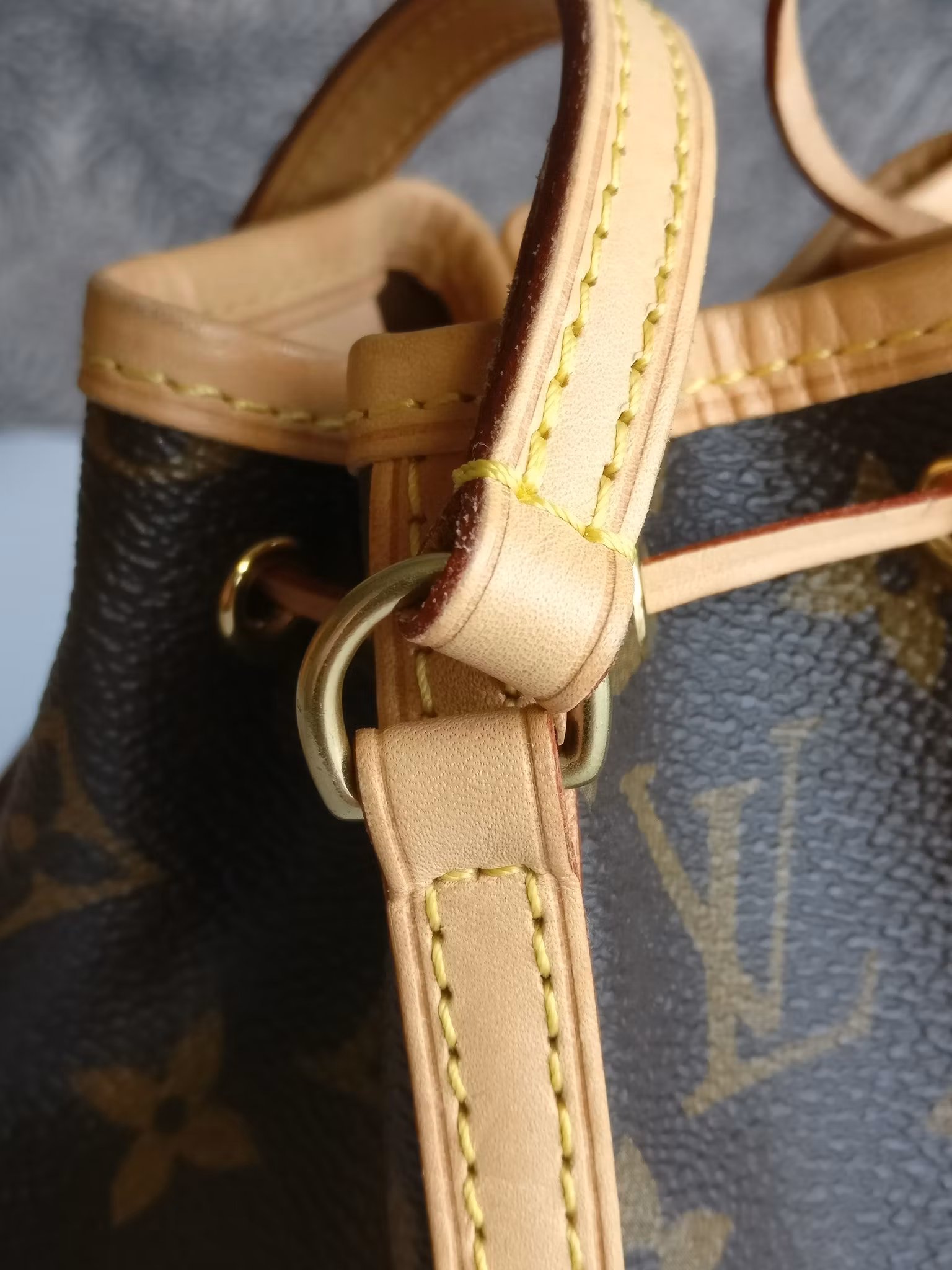 Louis Vuitton Nano Noé
