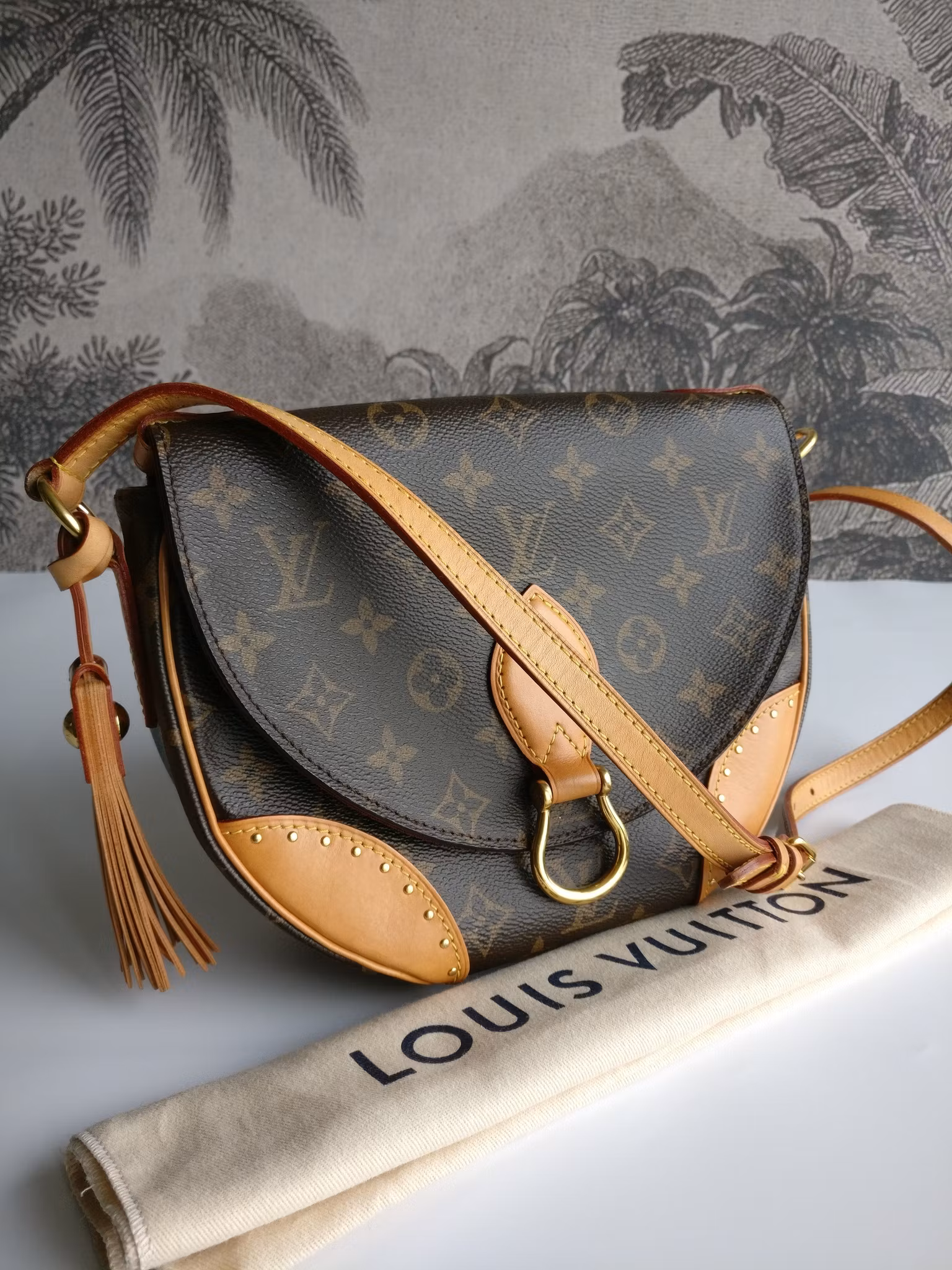 Louis Vuitton Saint Cloud new model