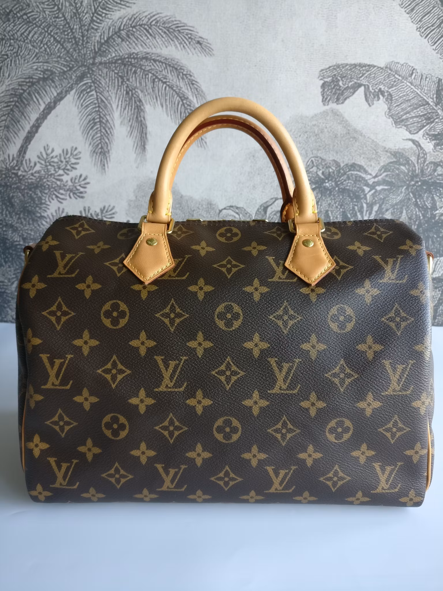 Louis Vuitton Speedy bandouliere 30