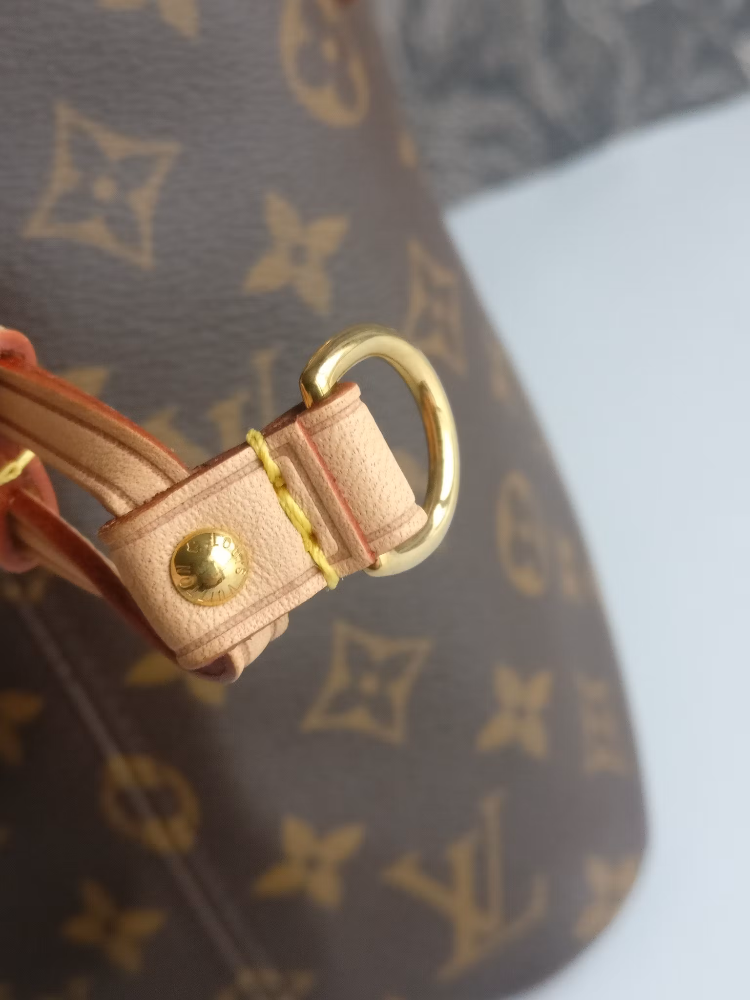 Louis Vuitton Neverfull PM