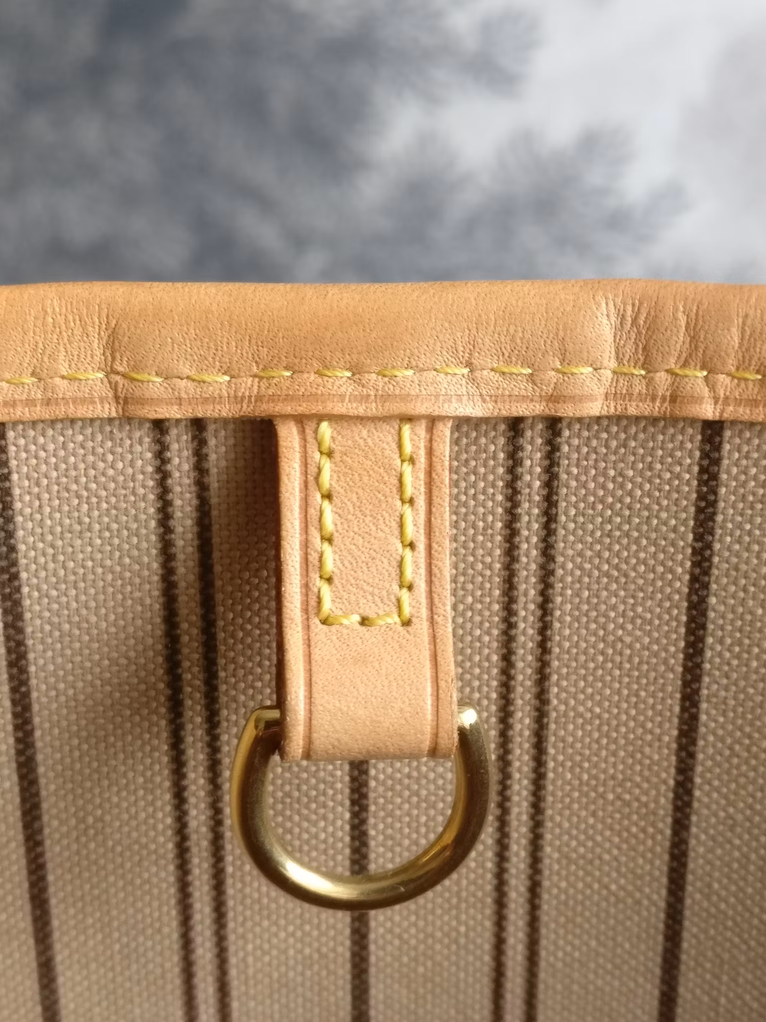 Louis Vuitton Neverfull MM