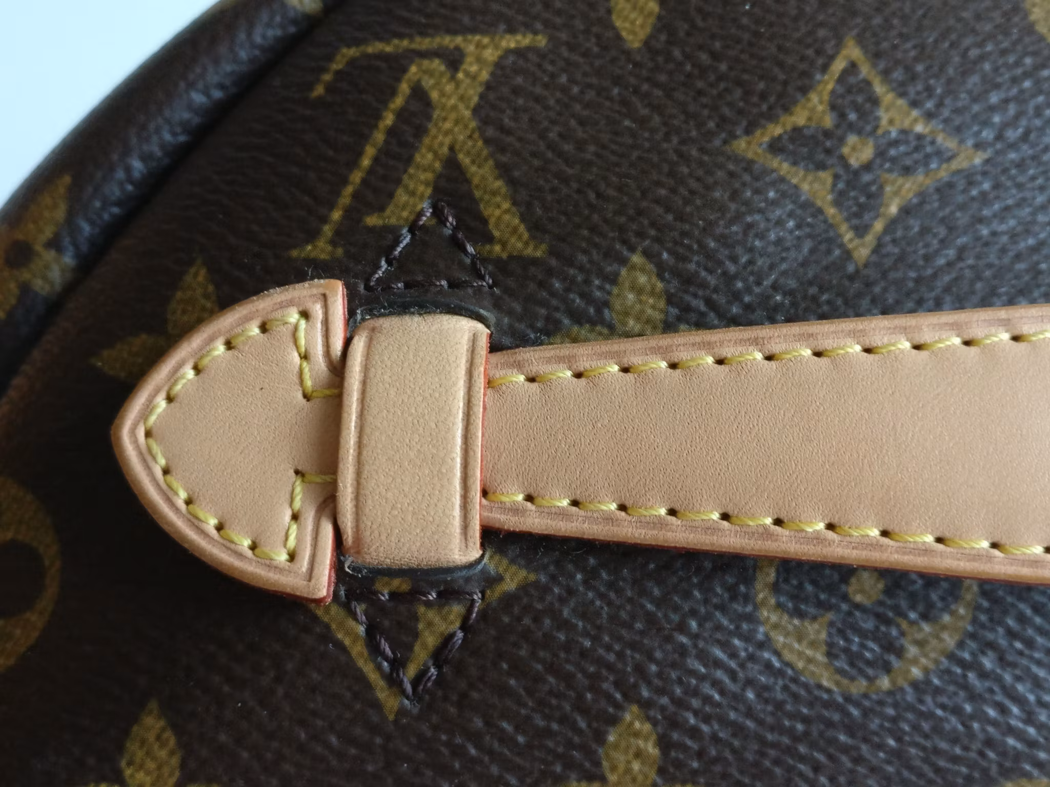 Louis Vuitton Bumbag