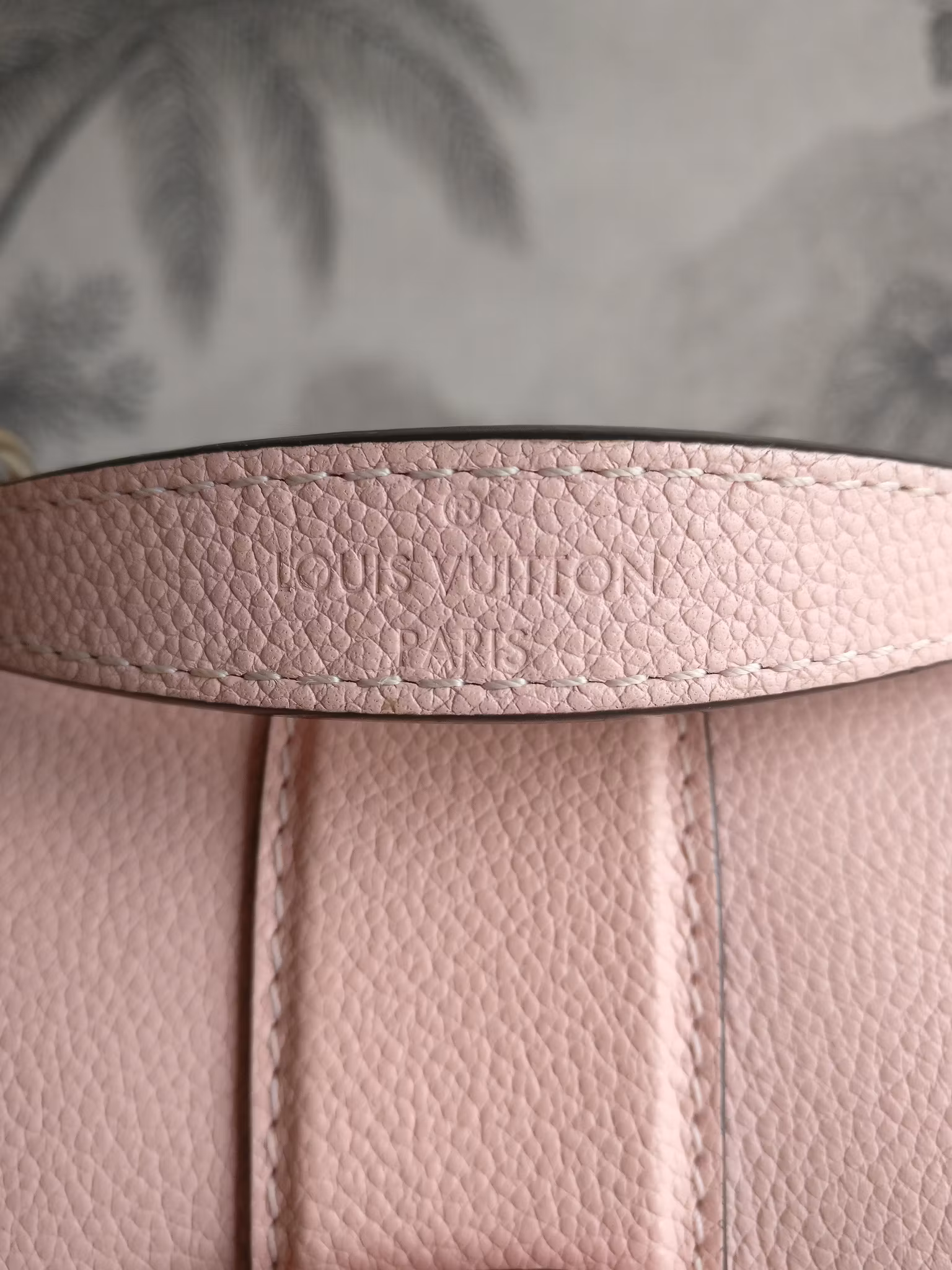 Louis Vuitton Clapton Backpack