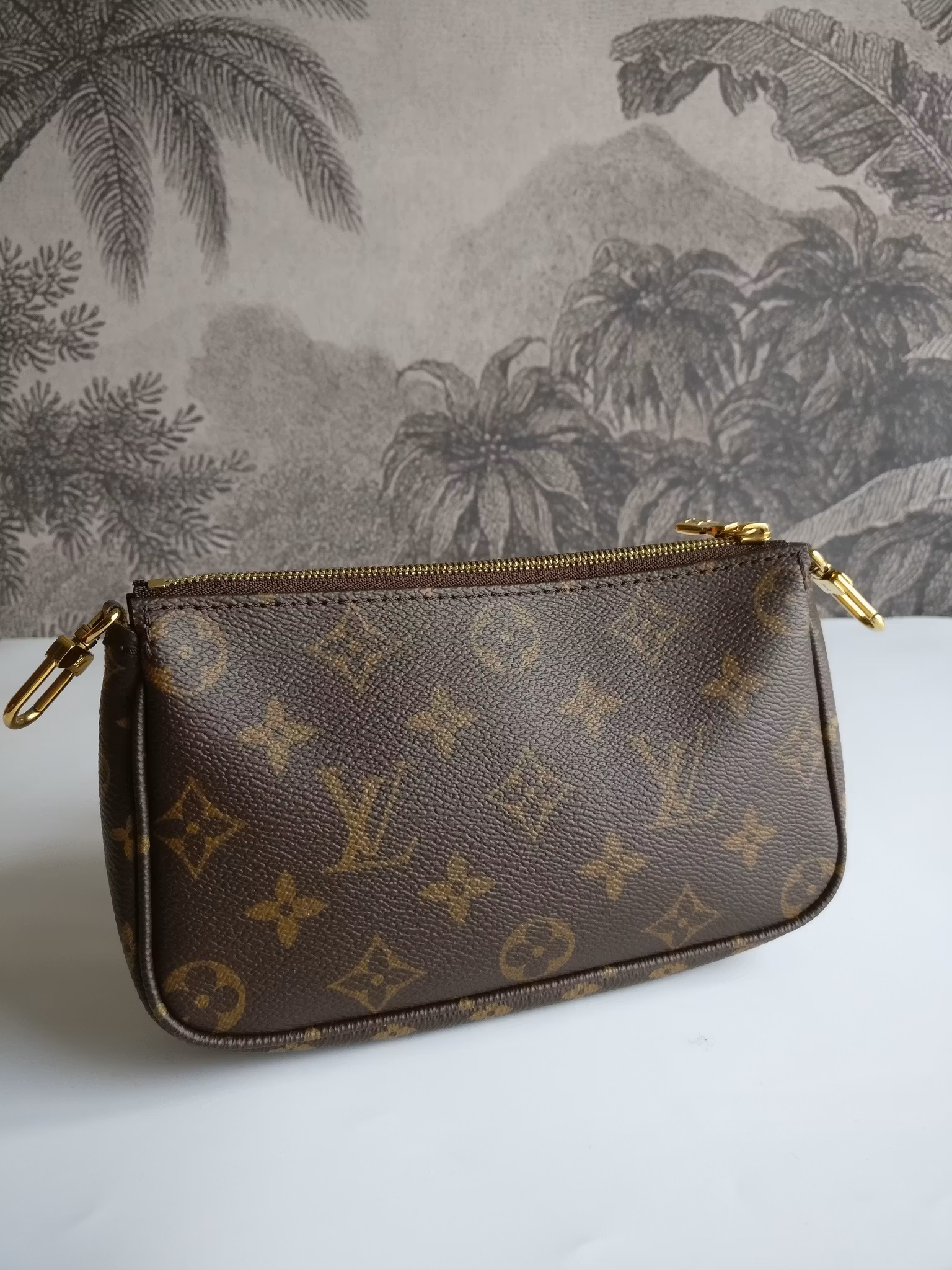Louis Vuitton Multi Pochette Accessoires