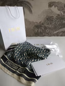 Christian Dior Silk Scarf
