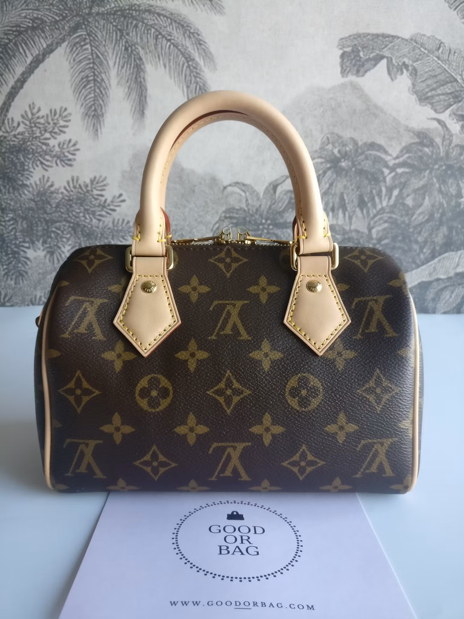 Louis Vuitton Speedy Bandouliere 20