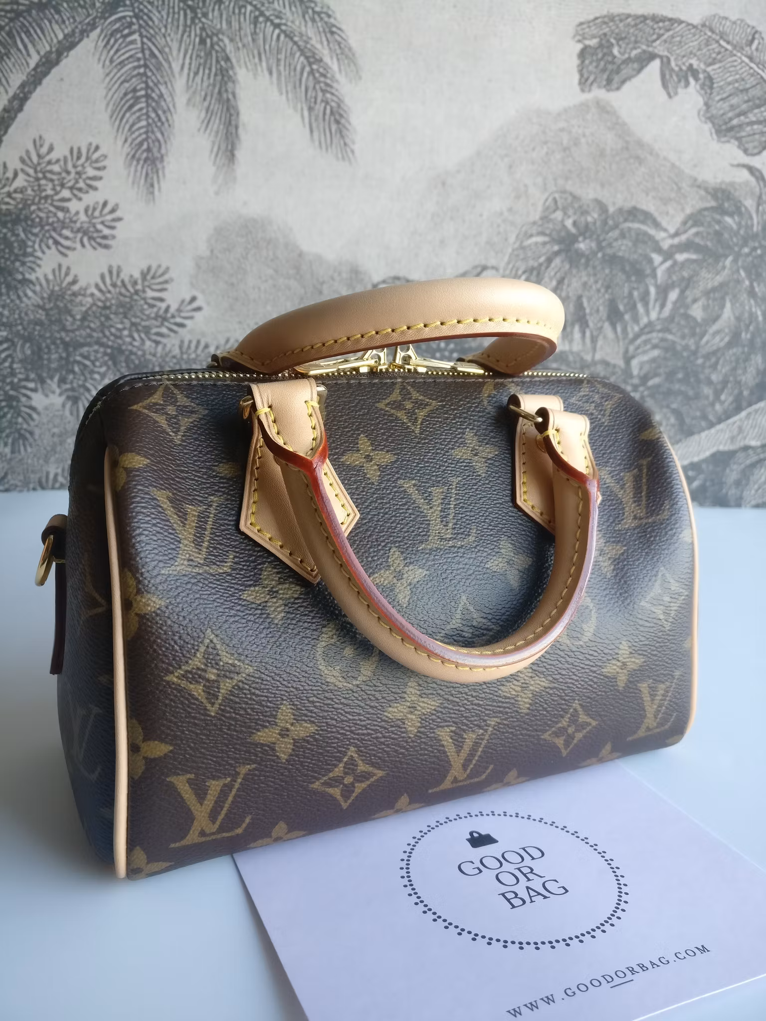 Louis Vuitton Speedy Bandouliere 20