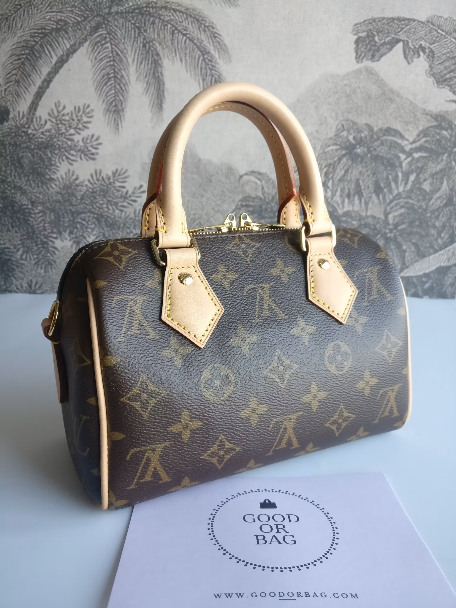 Louis Vuitton Speedy Bandouliere 20