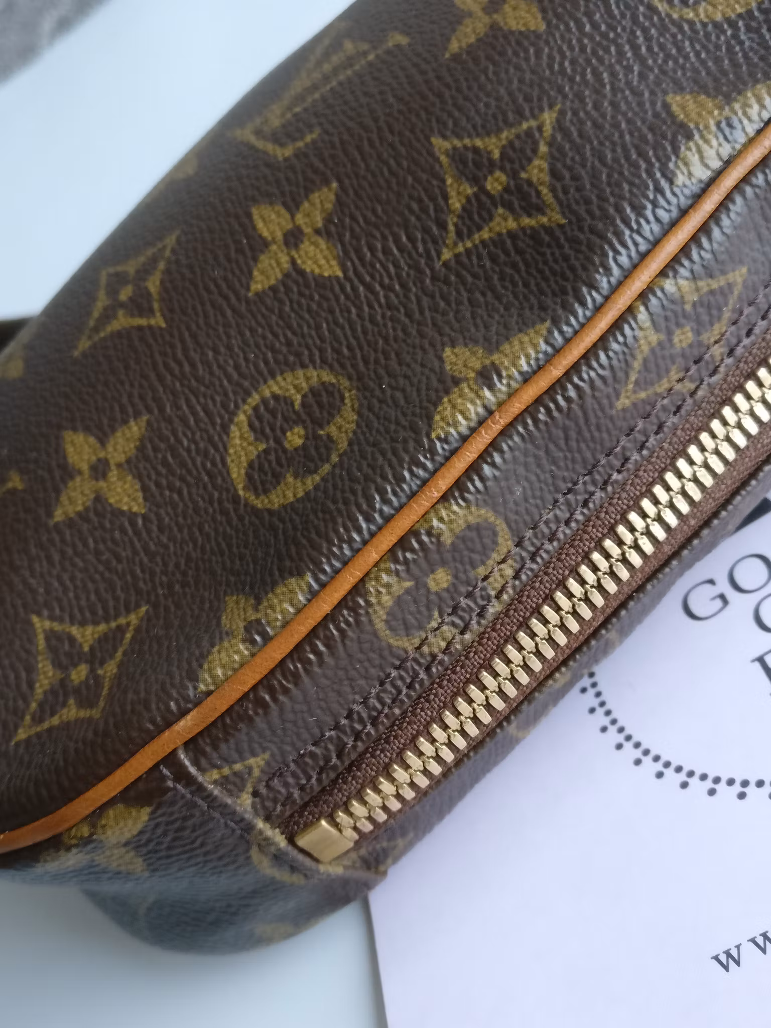 Louis Vuitton Pochette Gange bumbag/belt bag